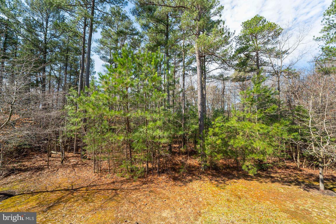 CHADDSFORD - Residential