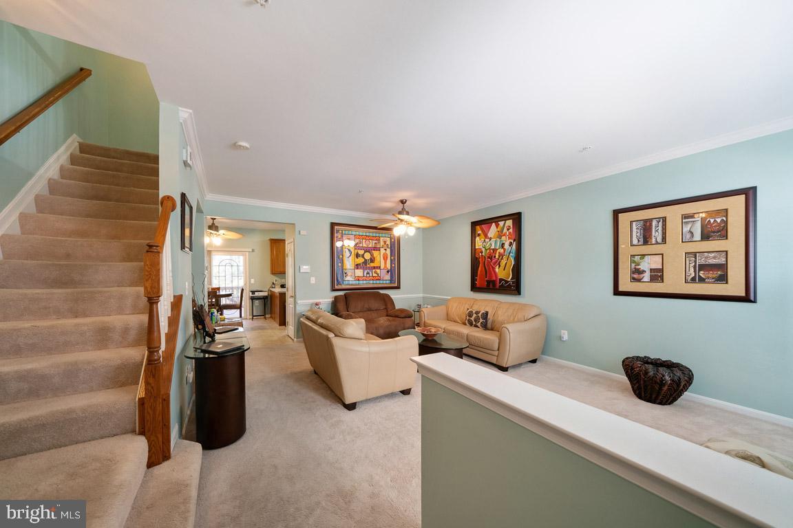 CHADDSFORD - Residential