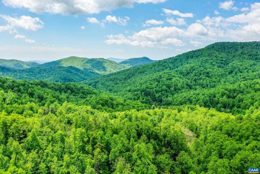 Unique opportunity to own nearly 70 pristine and tranquil acres in Afton just six miles from the popular ?Nelson 151? corridor packed with wineries, breweries, Wintergreen Resort and other venues. FIBER OPTIC coming soon! Ideal recreational parcel, vacation getaway or primary residence. Perhaps a vineyard or orchard? Numerous trails criss-cross the property, ideal for hiking or mountain biking, and providing excellent access to the land. Lovely native landscape where mountain laurel abounds and plenty of mature hardwoods offer possible timber value. Parcel is characterized by hill and valley all in the western region of beautiful Heard Mountain. Best potential homesite has excellent access to shared driveway and may enjoy views with some clearing. Just waiting for your vision! Views from upper elevations could be stunning with some clearing though homesite not feasible  there. Create a gathering area, accessible by trails! Parcel is undeveloped though has about 1000? of shared driveway with neighboring property. Stop at 2WD parking sign and do not drive up to neighboring residence.