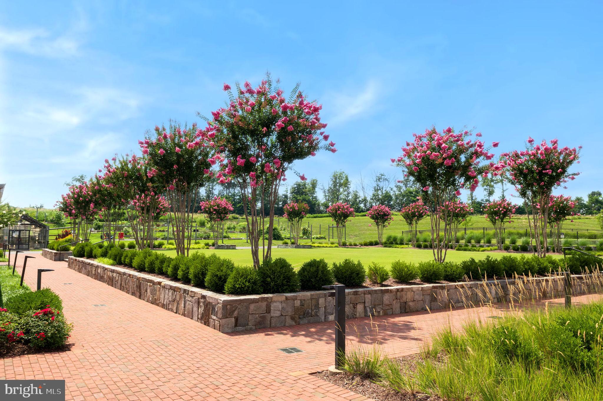 POTOMAC SHORES - Residential