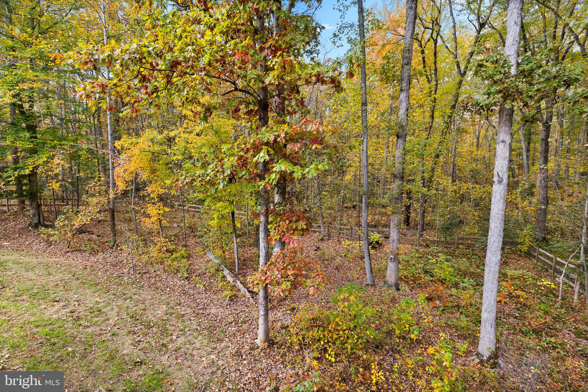 ESTATES OF BUCKINGHAM - Residential