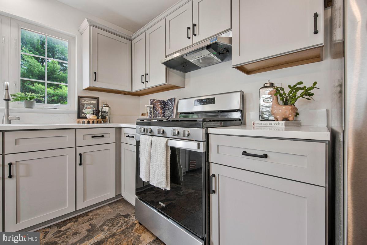 THE VILLAGES OF LYONSFIELD RUN - Residential