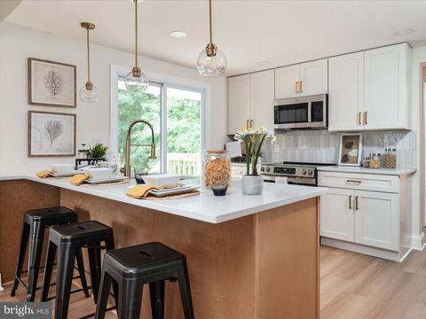 137 OLIVE BRANCH ROAD STEVENSVILLE MD 21666