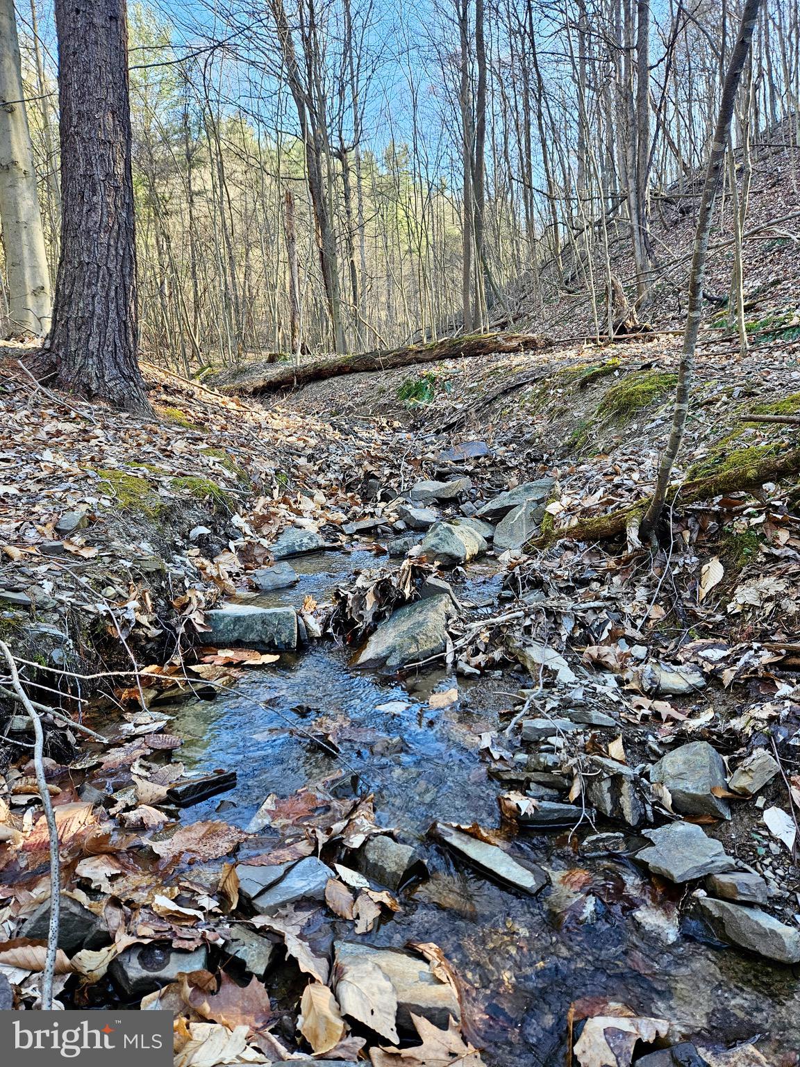 Own a piece of paradise! Don't let this gem pass! This property features 28.748 acres with two streams and the ability to build your dream home with a spectacular mountainous view. This tract of land has been reported to be teaming with wildlife as well as excellent hunting. Don't let this once in a lifetime opportunity pass you by at a great price. *All information including taxes, square footage, and land quantities are estimated. Buyer to verify amounts*
