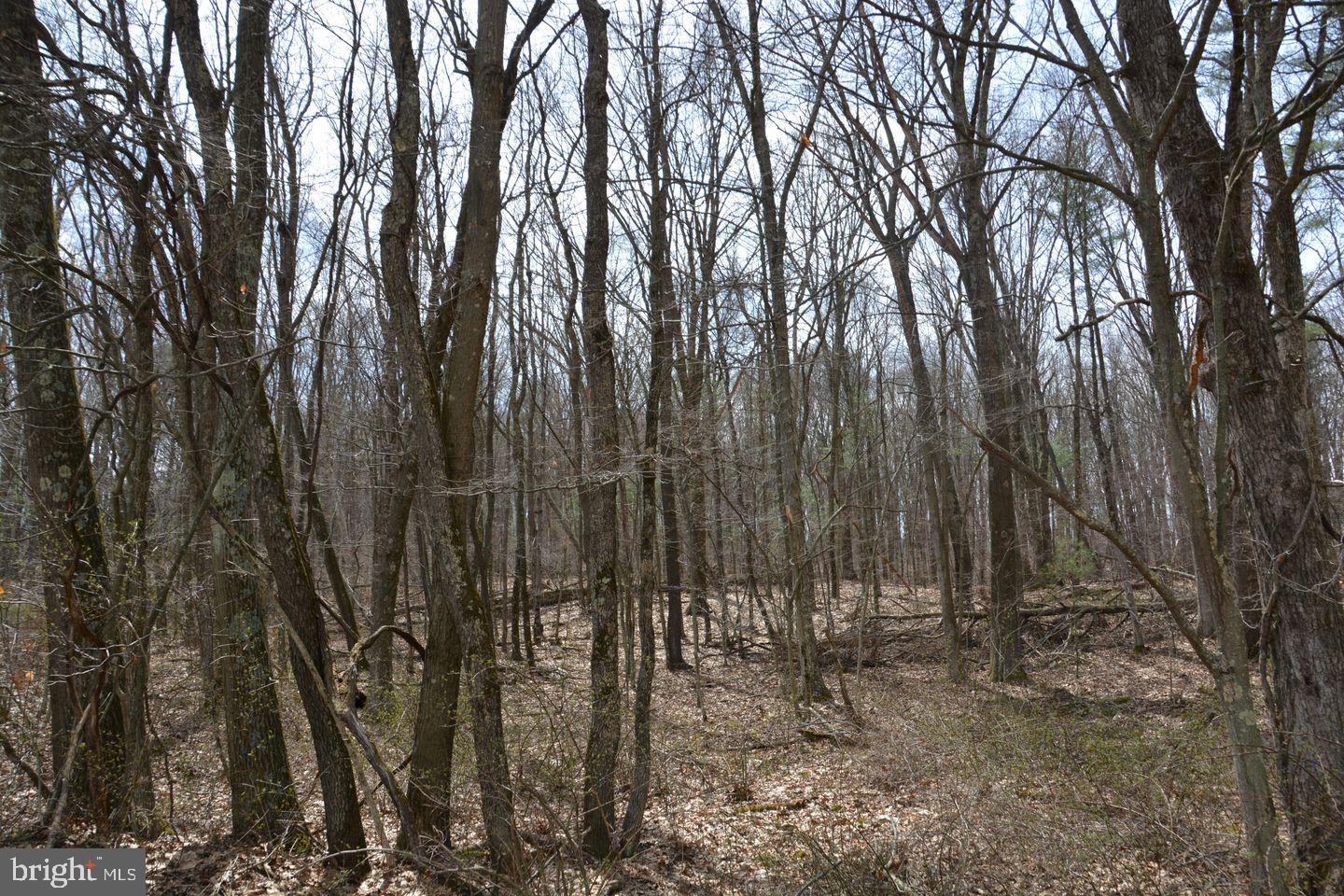 AKERS ROAD