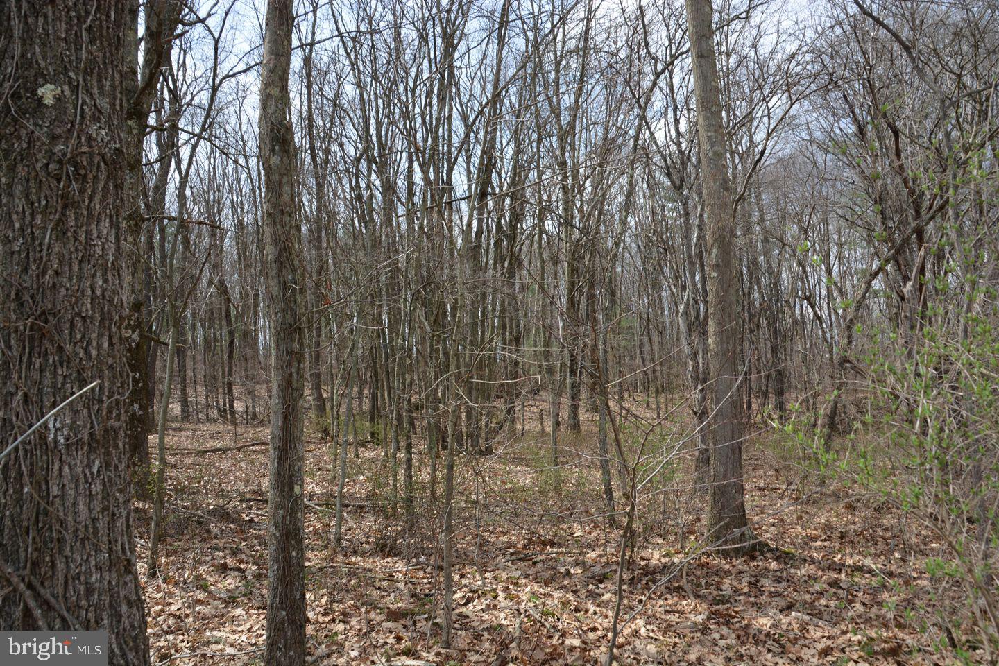 AKERS ROAD