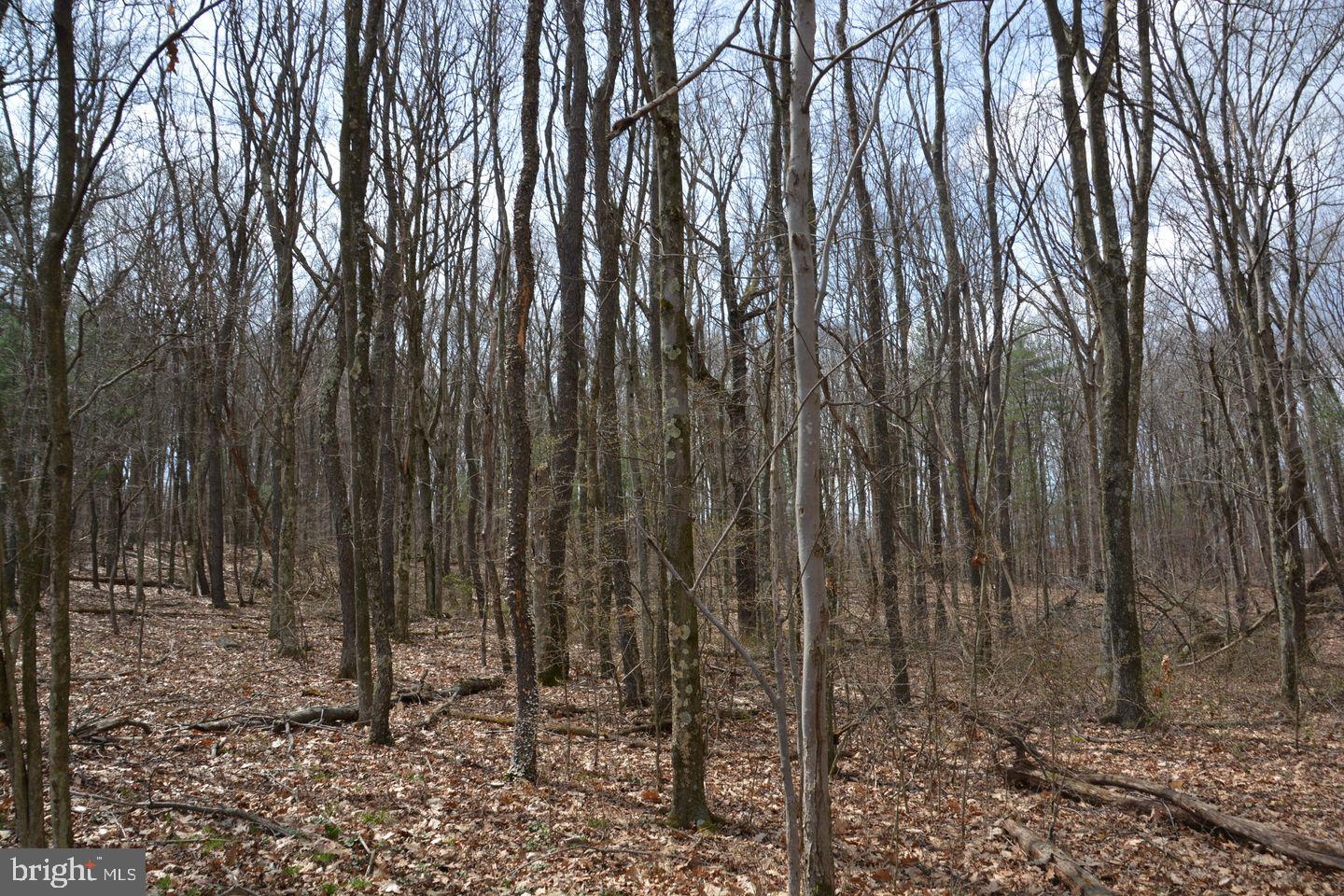 AKERS ROAD