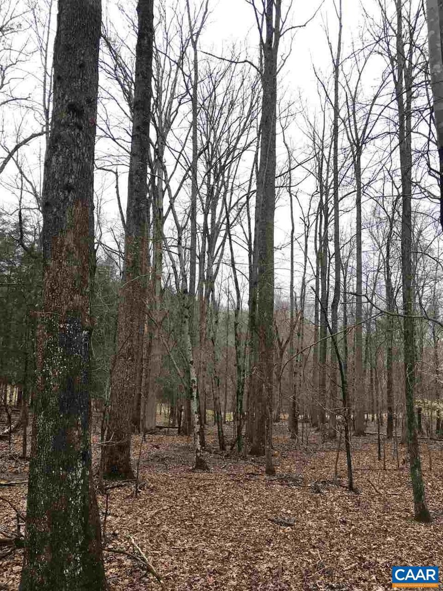 Wonderful forested property with hard and softwood forests, creeks and wildlife.  This property is in a designated growth area for Fluvanna County and has good short and long term investment potential.