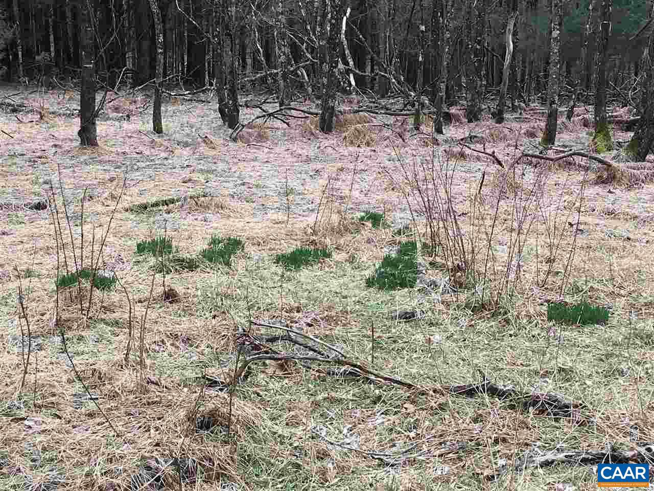 NONE AVAILABLE - Land