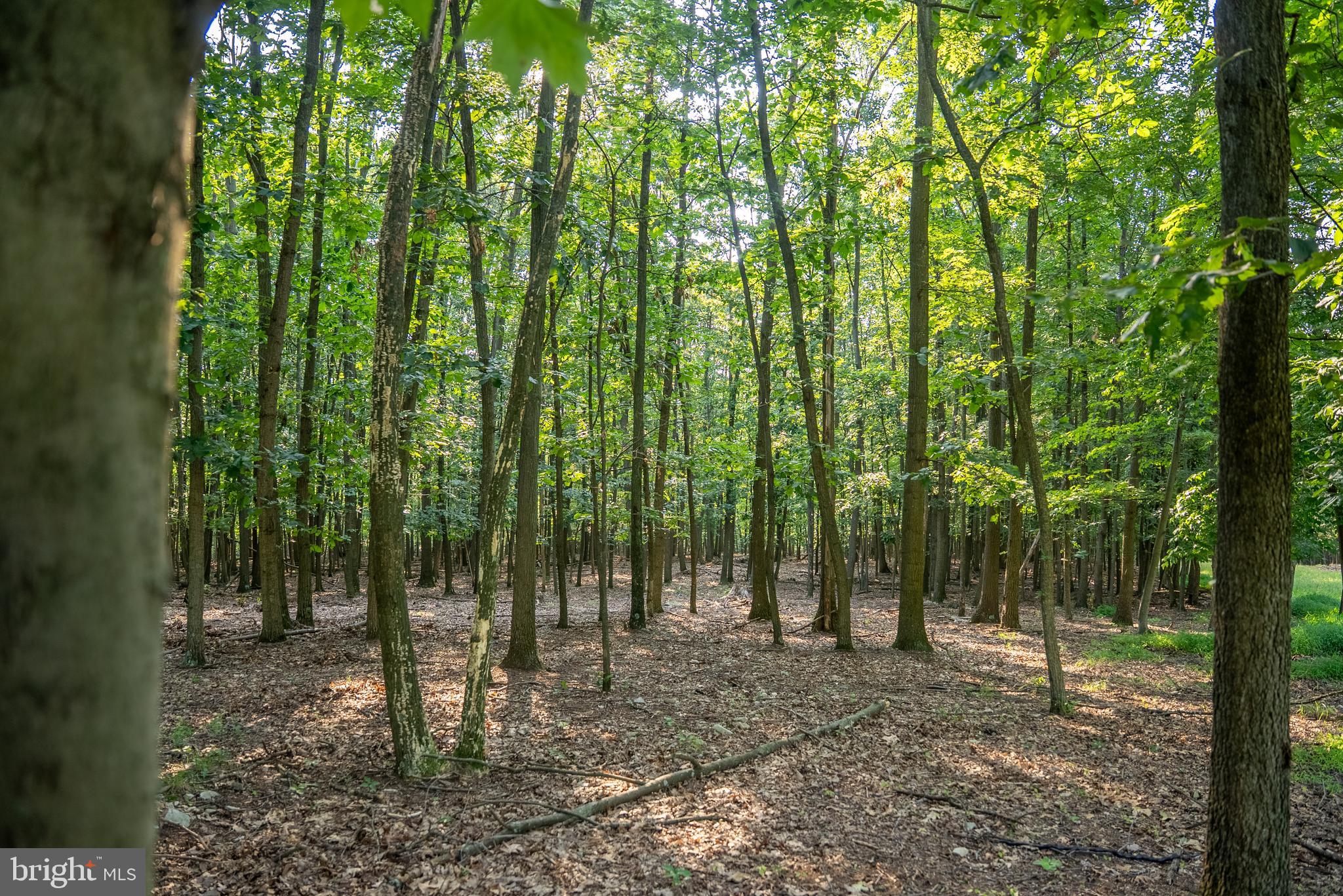 SOUTHAMPTON TWP - Residential