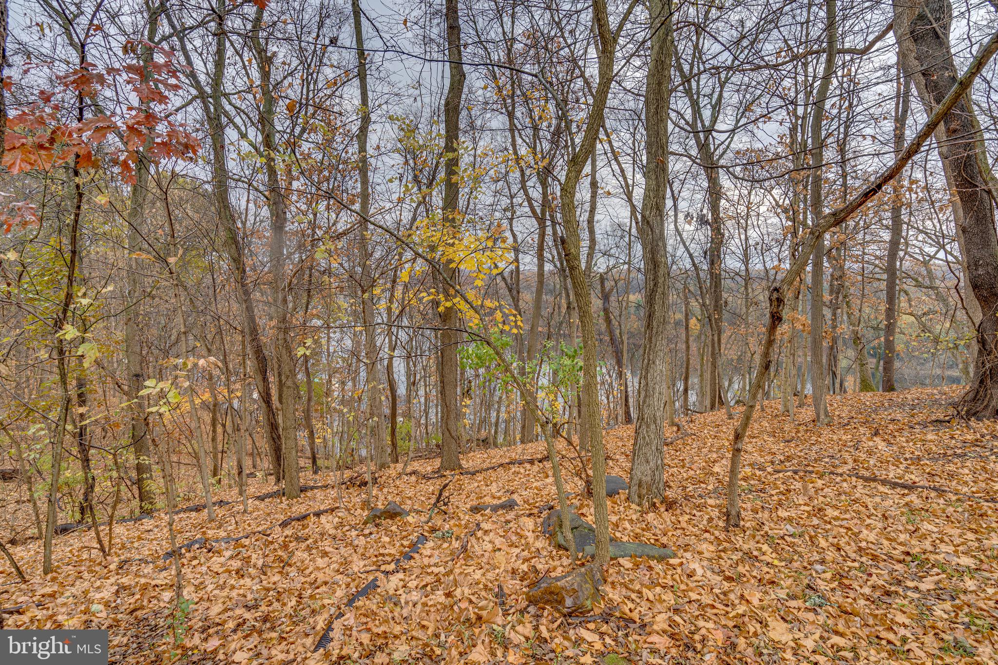 RIVER BEND - Residential