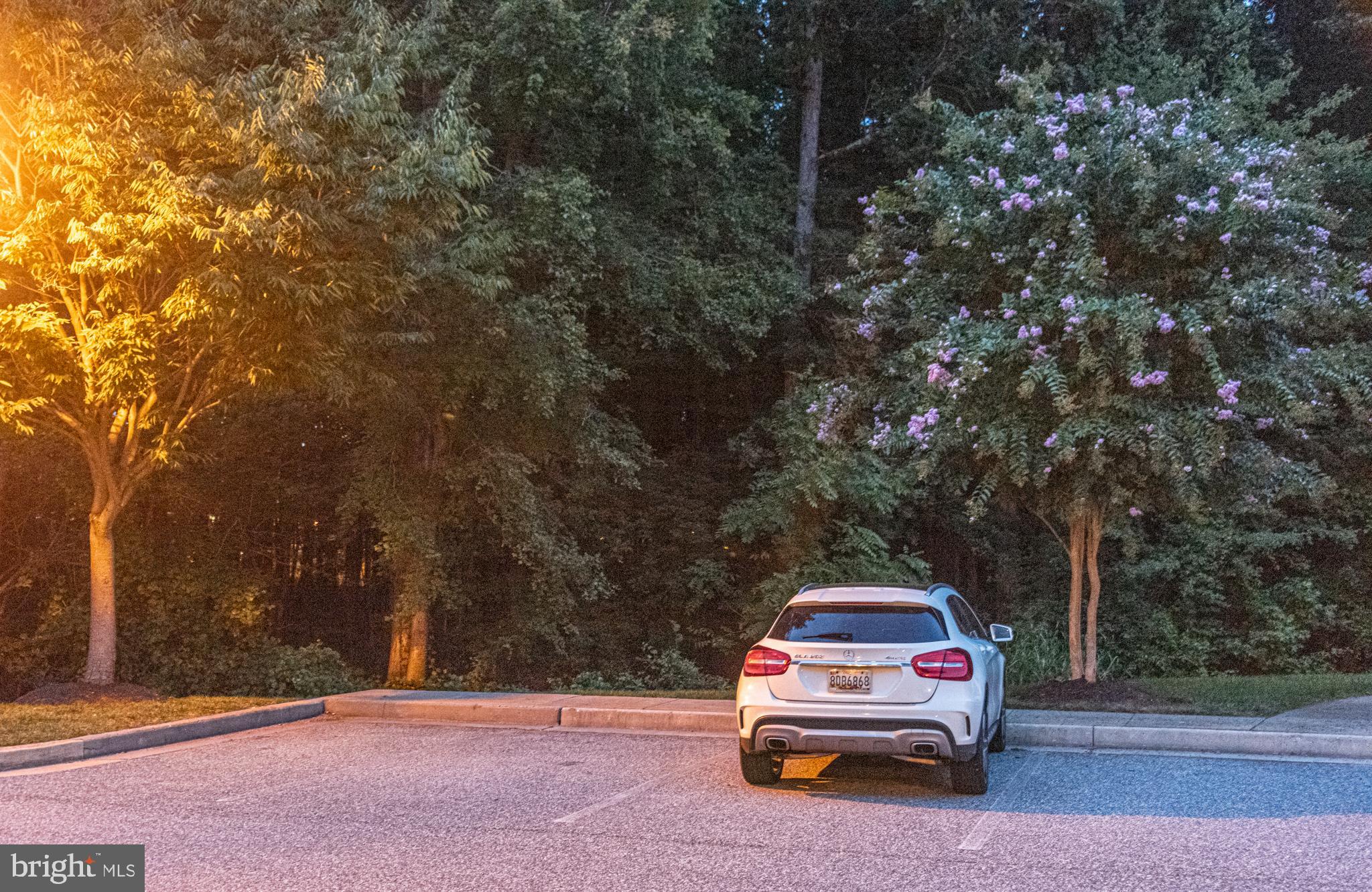 HONEYGO VILLAGE - Residential