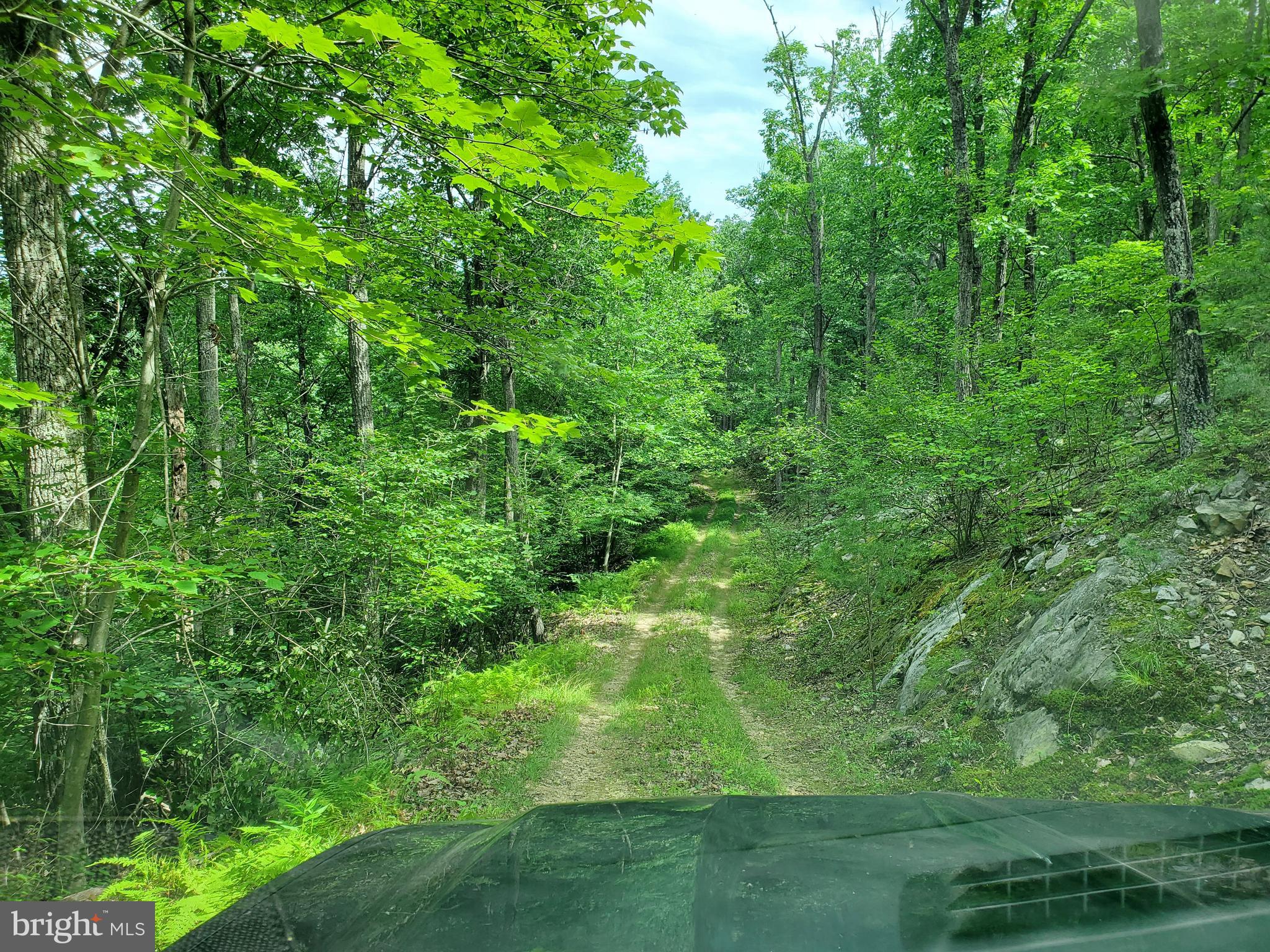 NONE AVAILABLE - Land