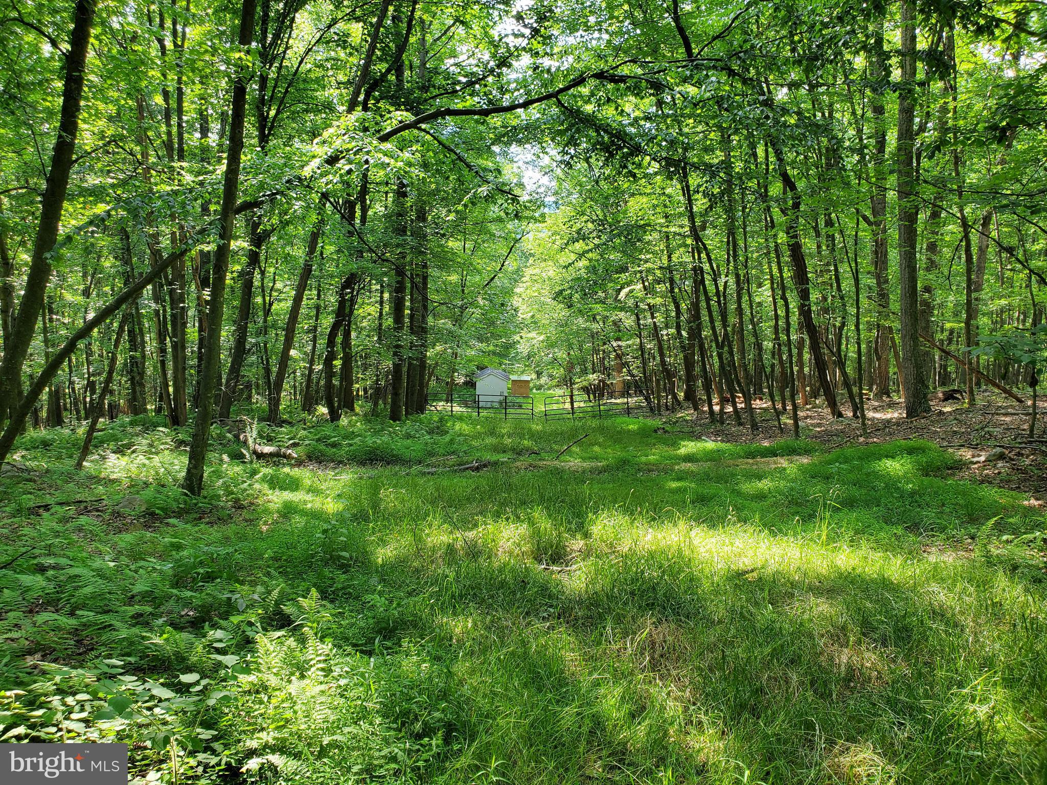 NONE AVAILABLE - Land