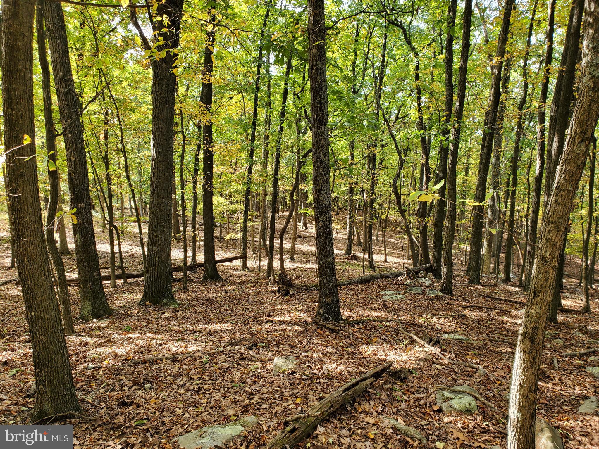 NONE AVAILABLE - Land