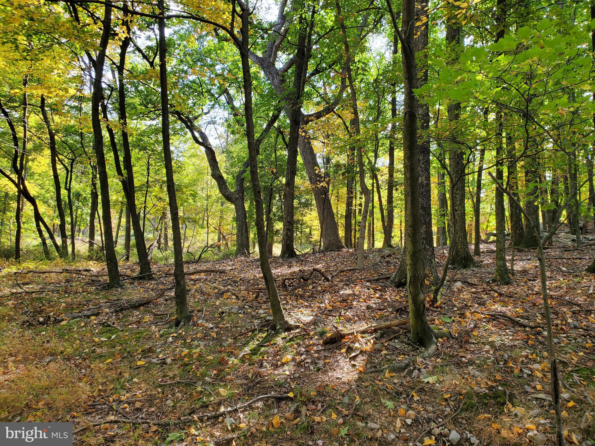 NONE AVAILABLE - Land