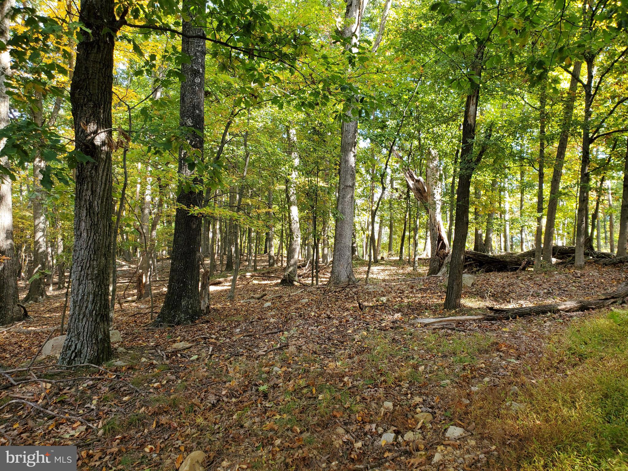 NONE AVAILABLE - Land