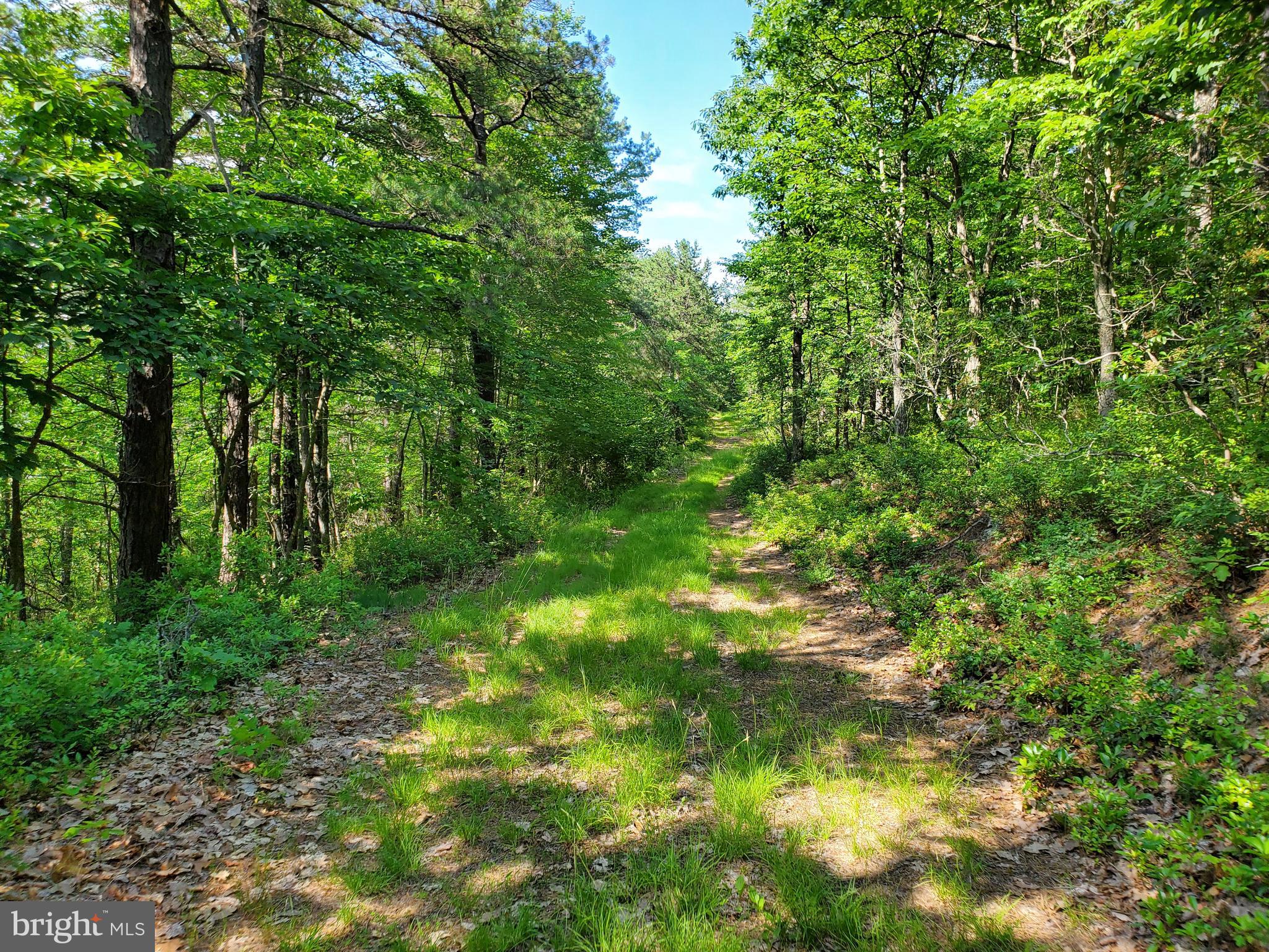 NONE AVAILABLE - Land