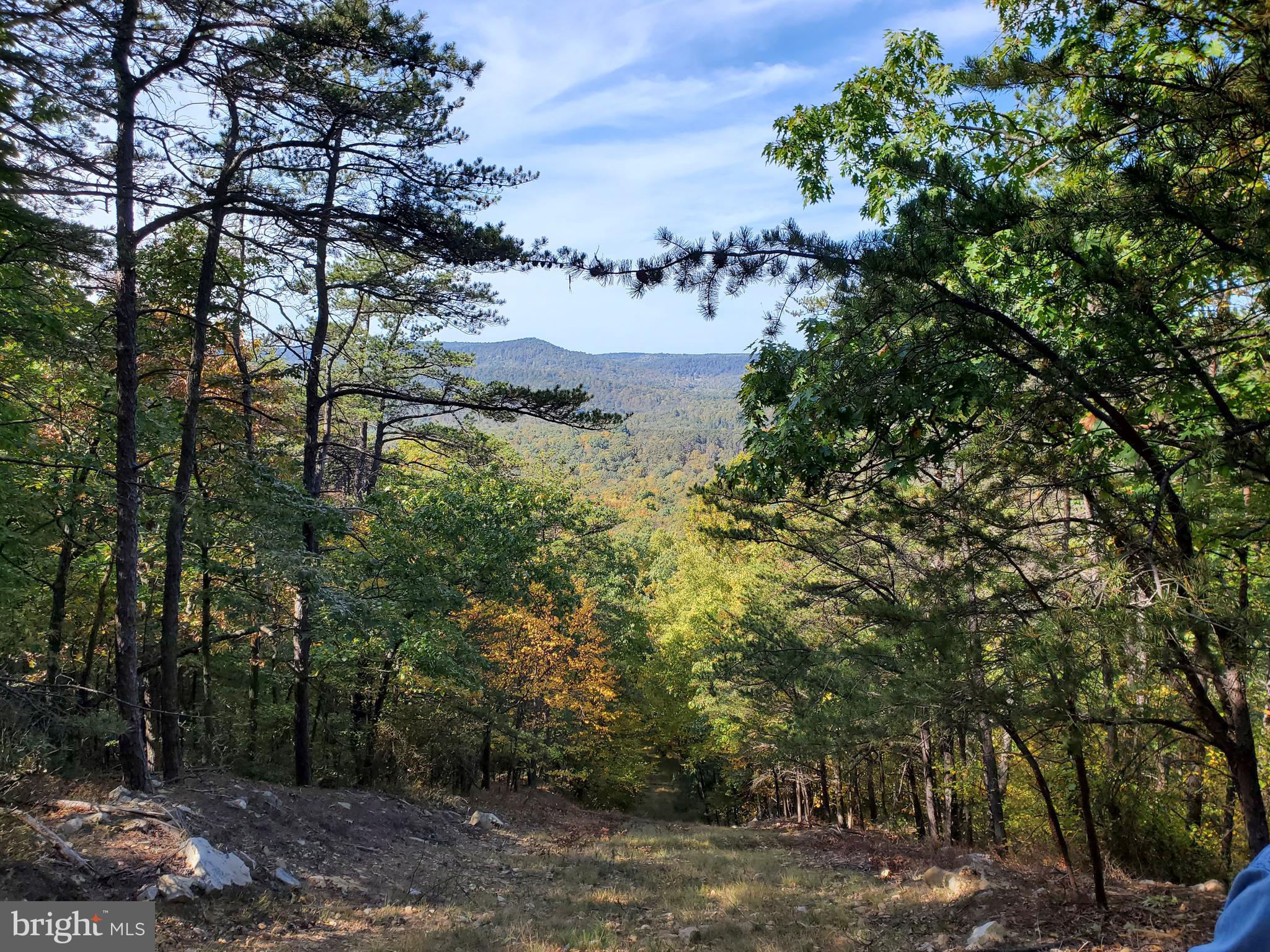 NONE AVAILABLE - Land