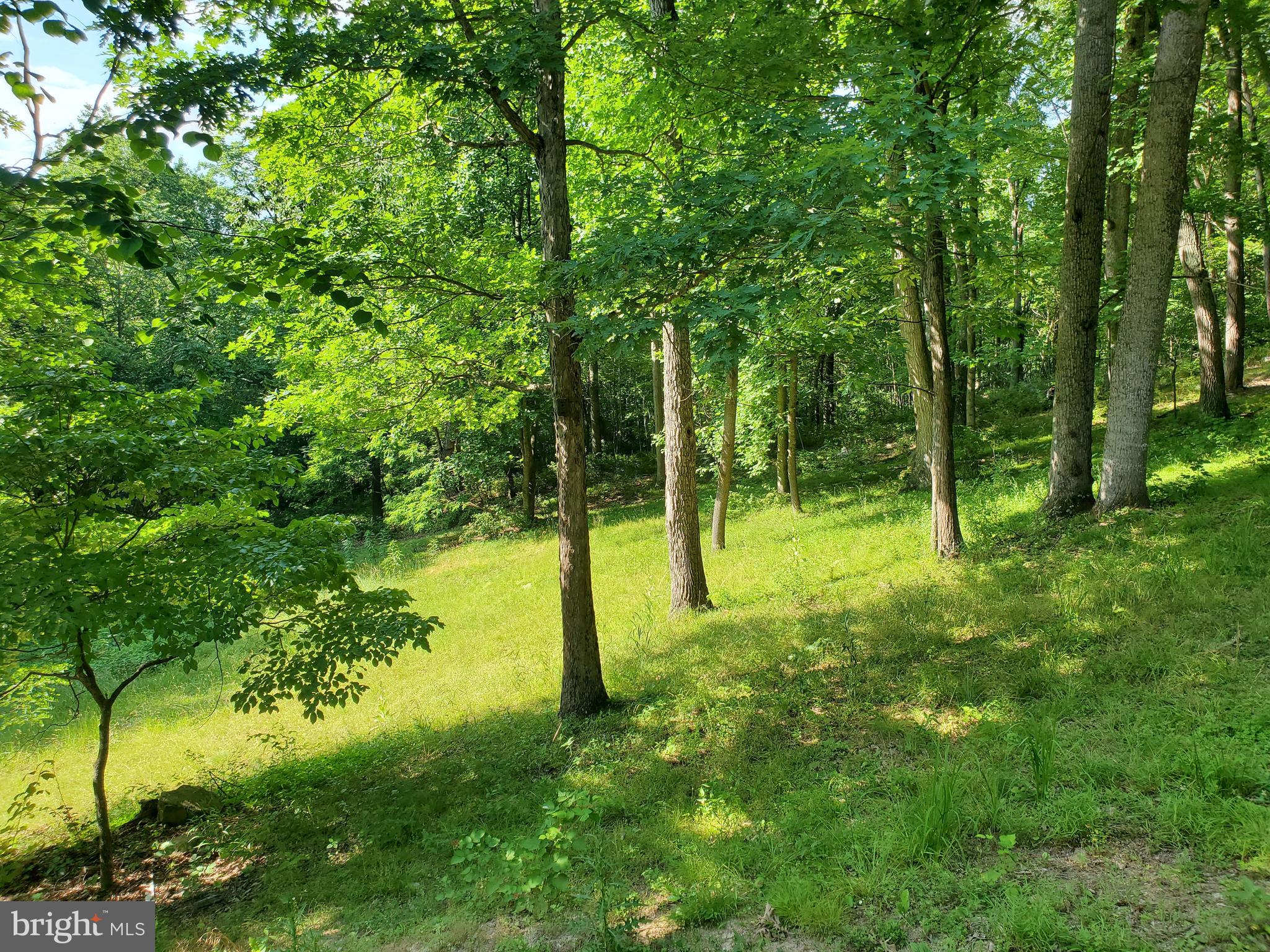 NONE AVAILABLE - Land