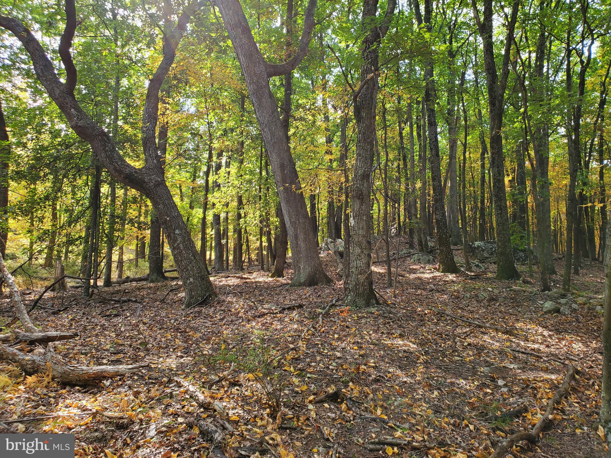 NONE AVAILABLE - Land