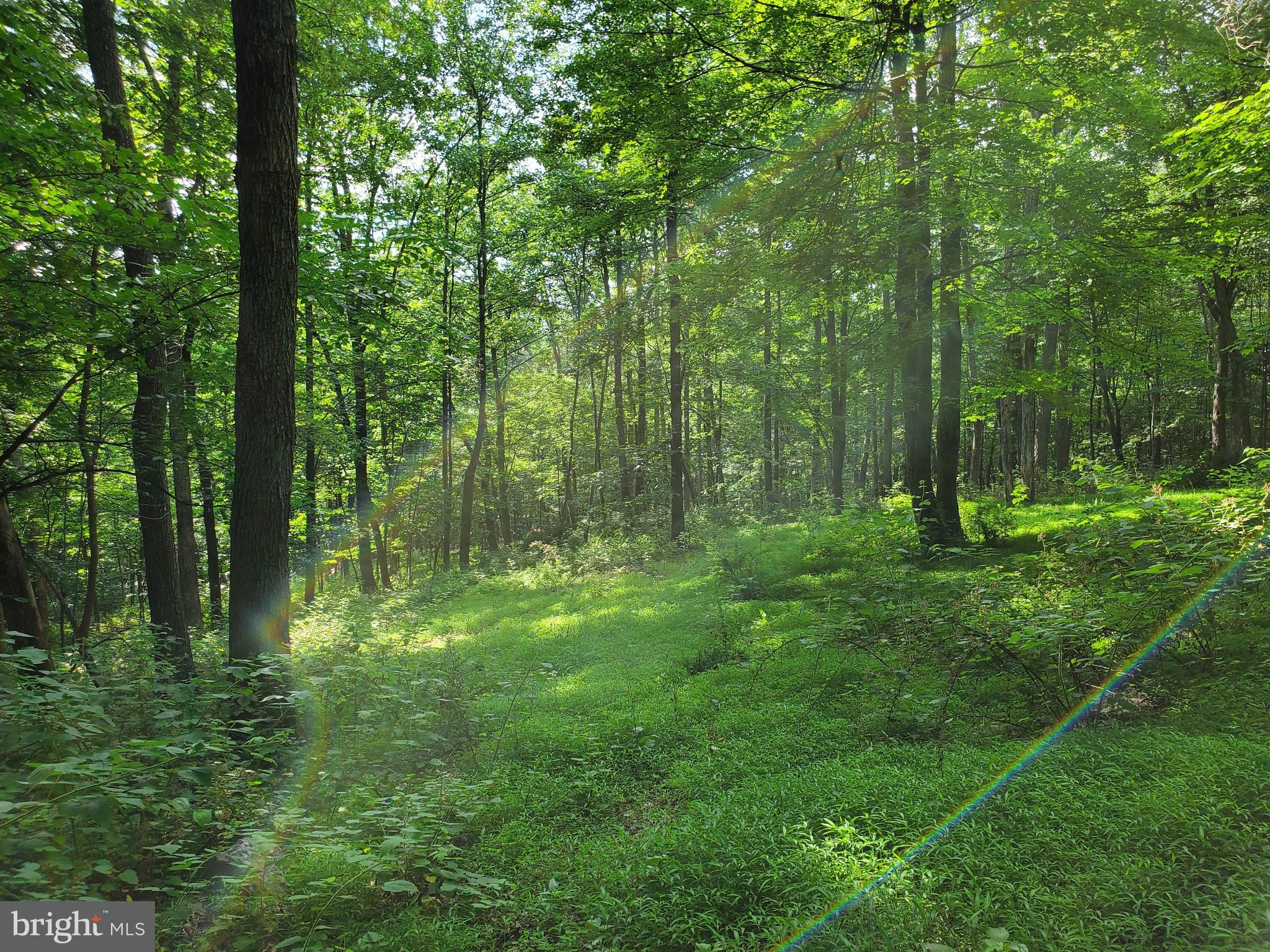 NONE AVAILABLE - Land