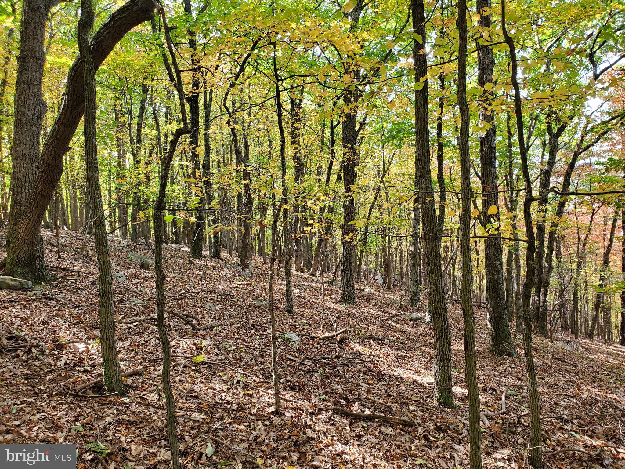 NONE AVAILABLE - Land