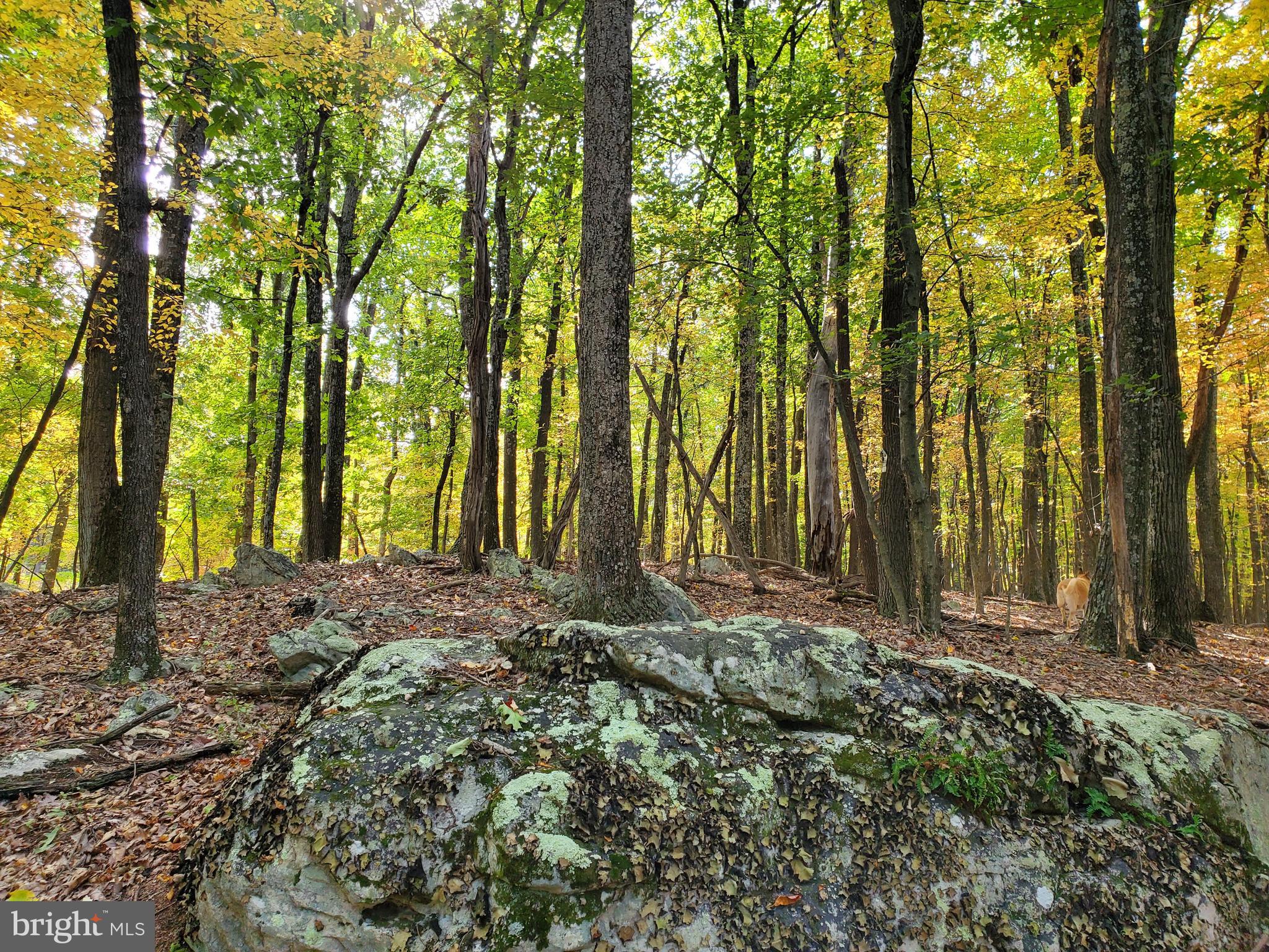 NONE AVAILABLE - Land