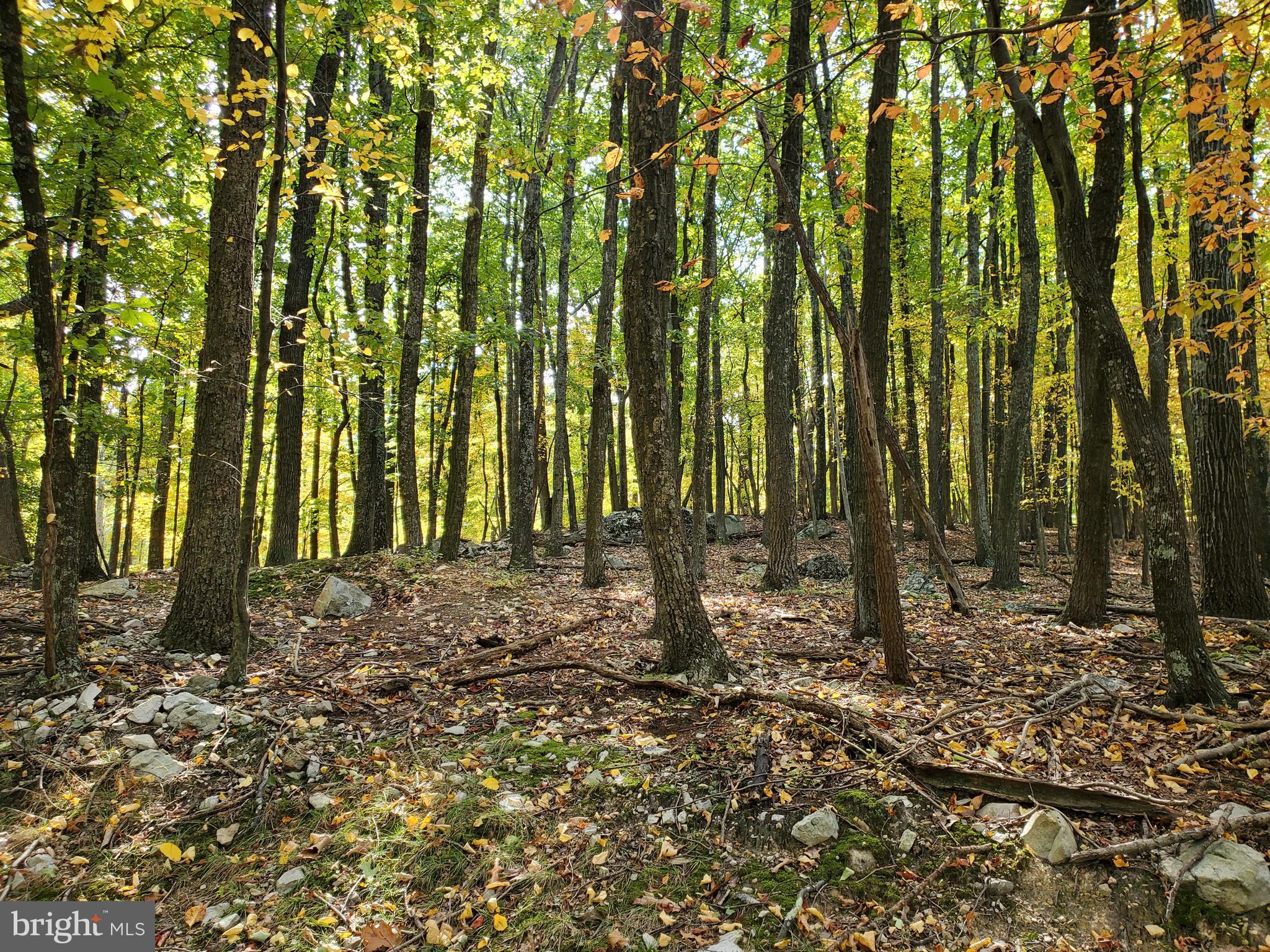 NONE AVAILABLE - Land