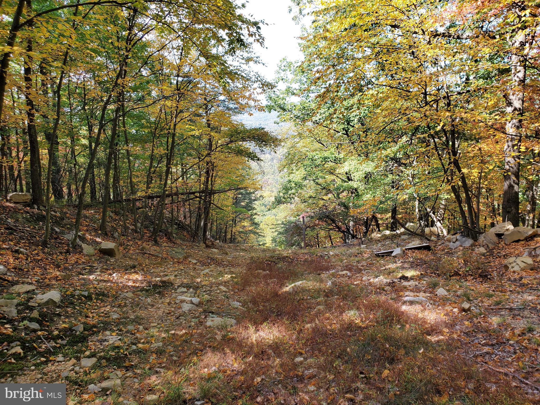 NONE AVAILABLE - Land