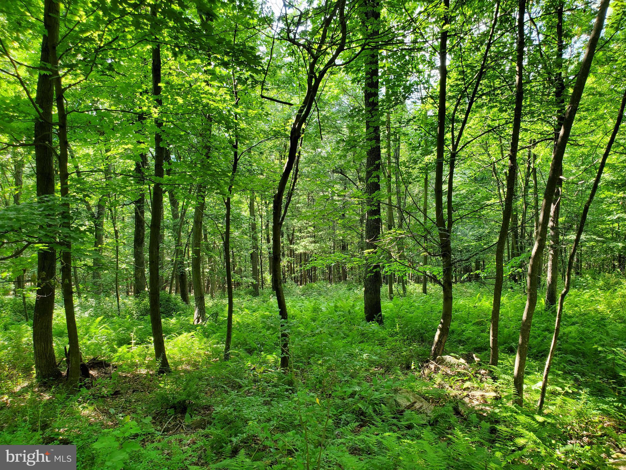 NONE AVAILABLE - Land