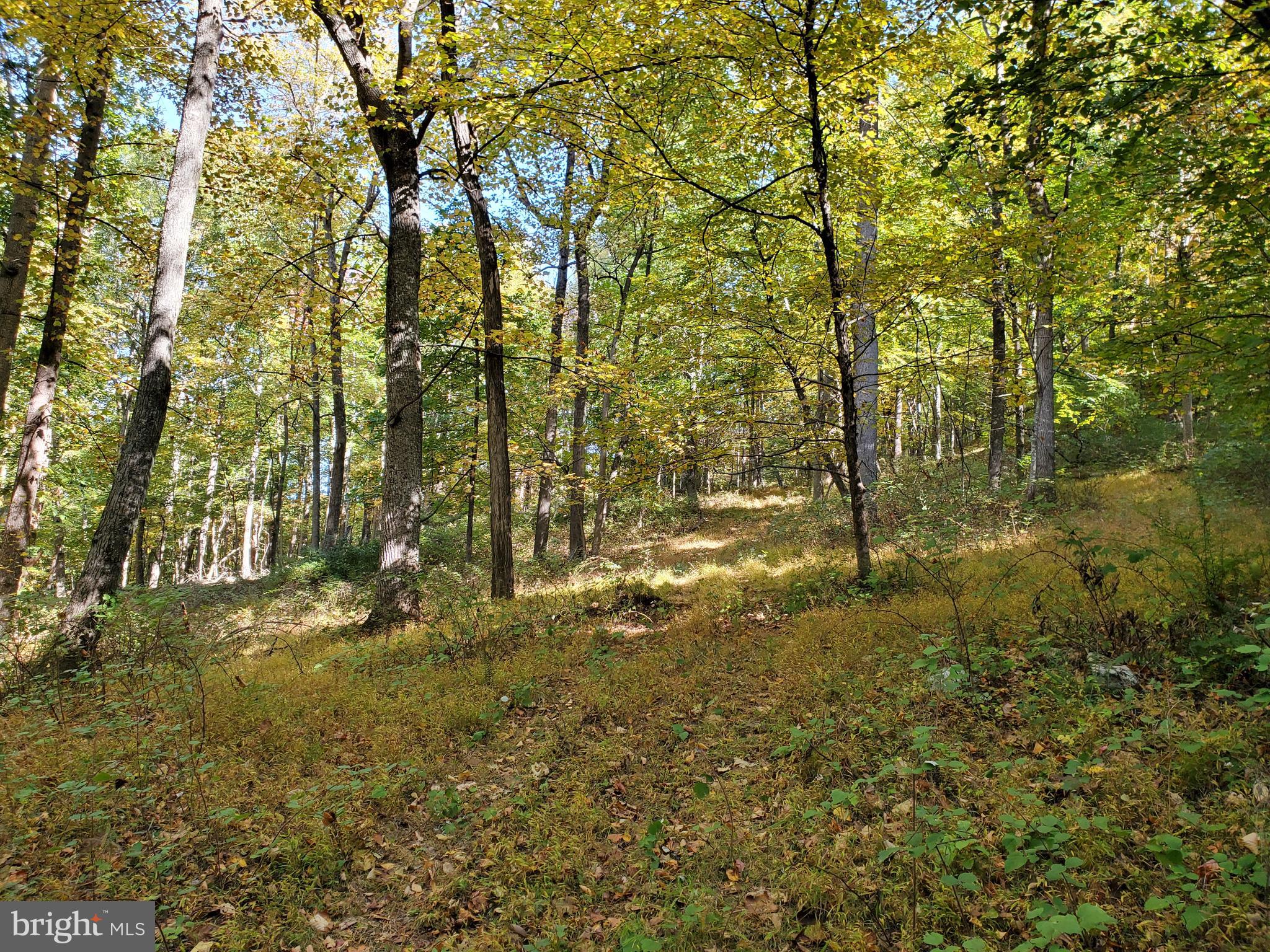 NONE AVAILABLE - Land