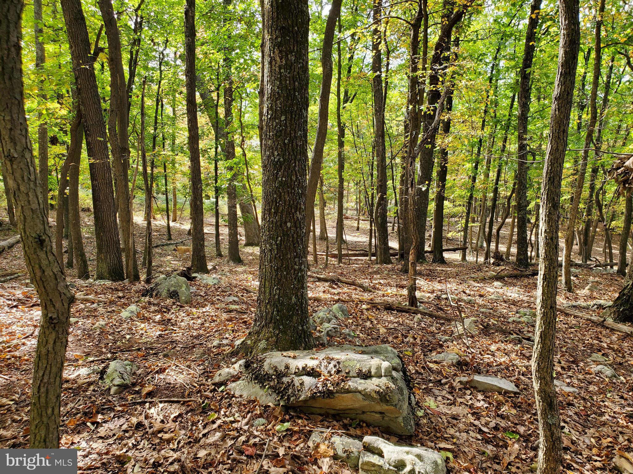 NONE AVAILABLE - Land