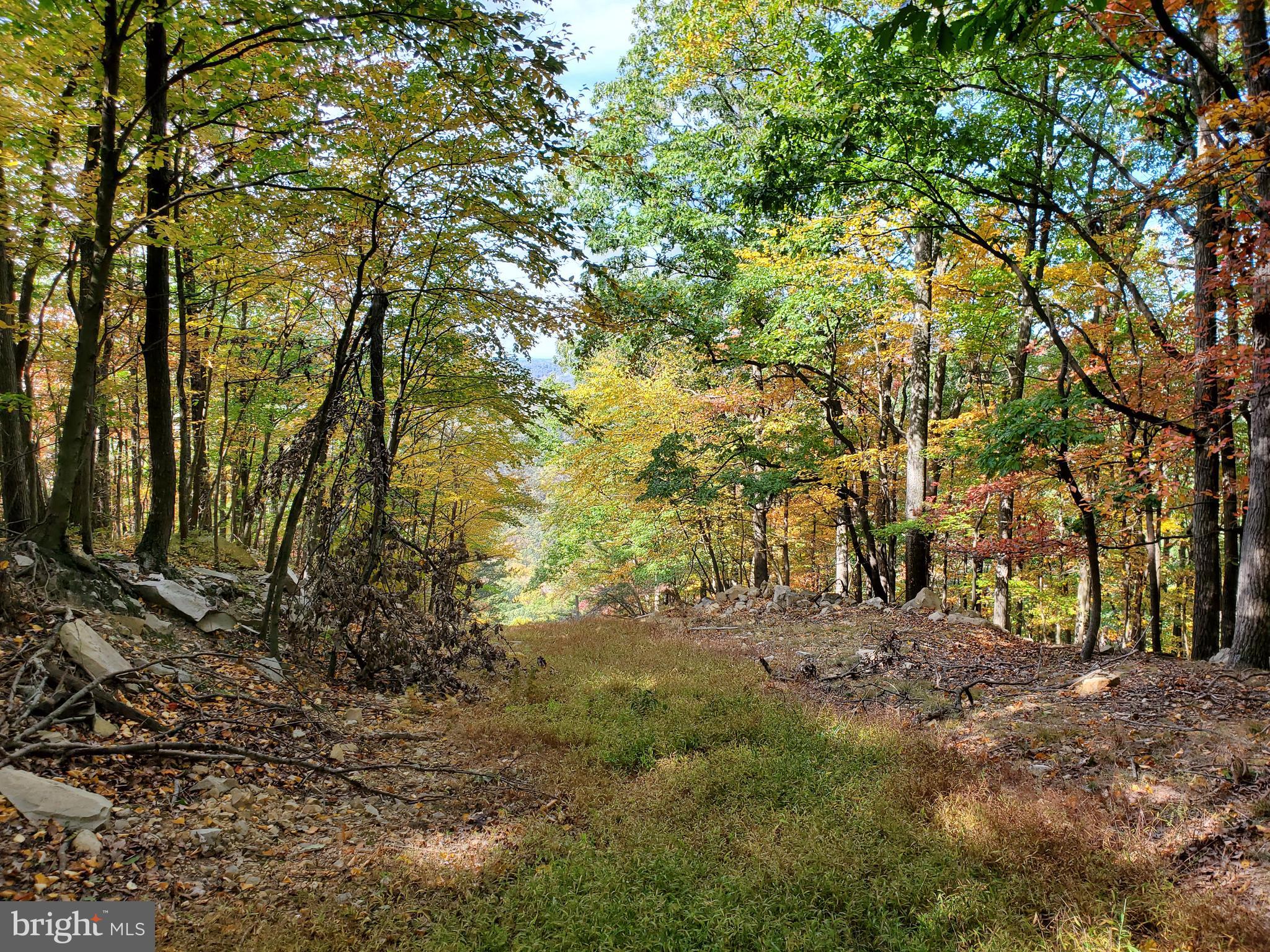 NONE AVAILABLE - Land