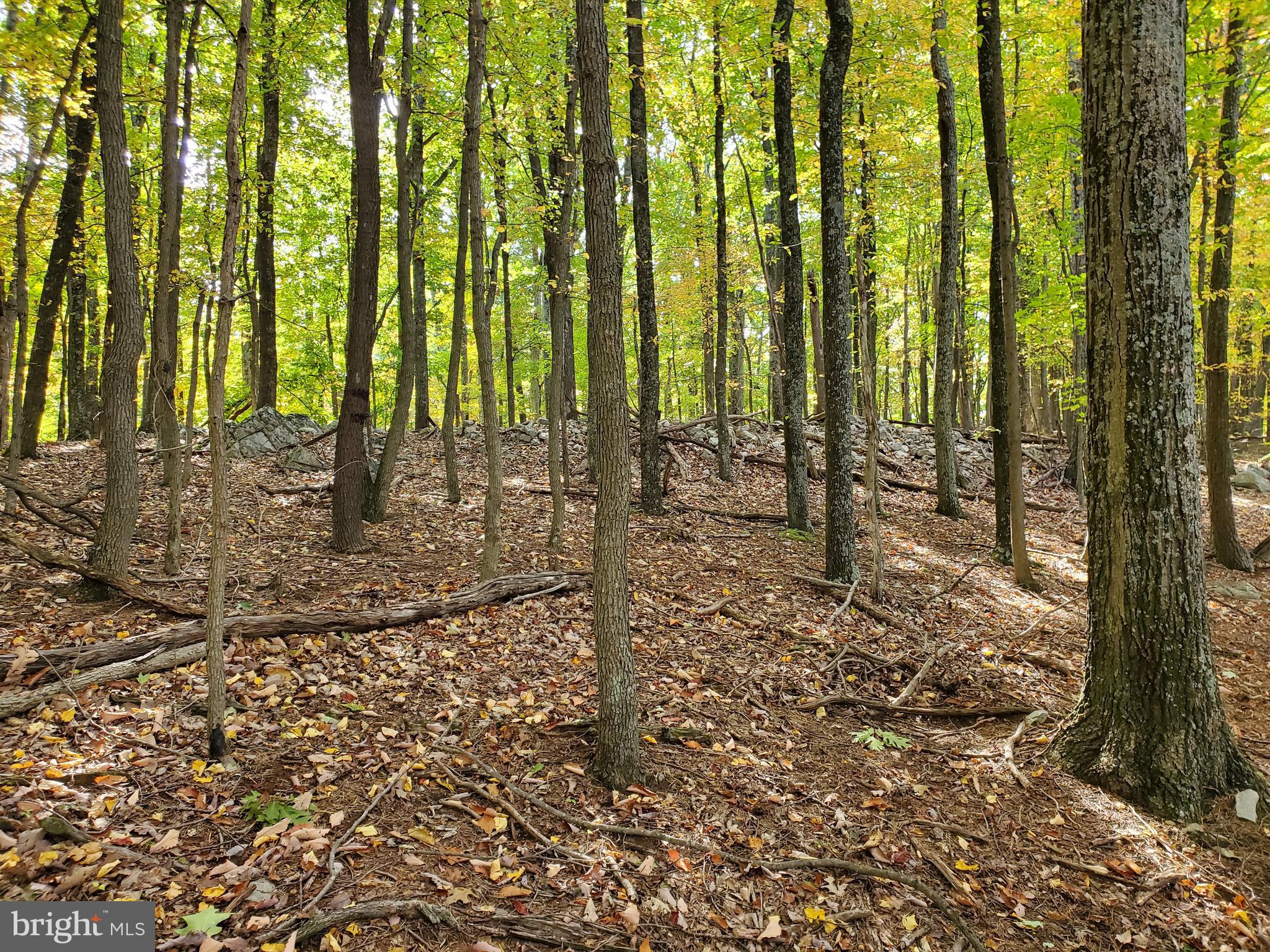 NONE AVAILABLE - Land