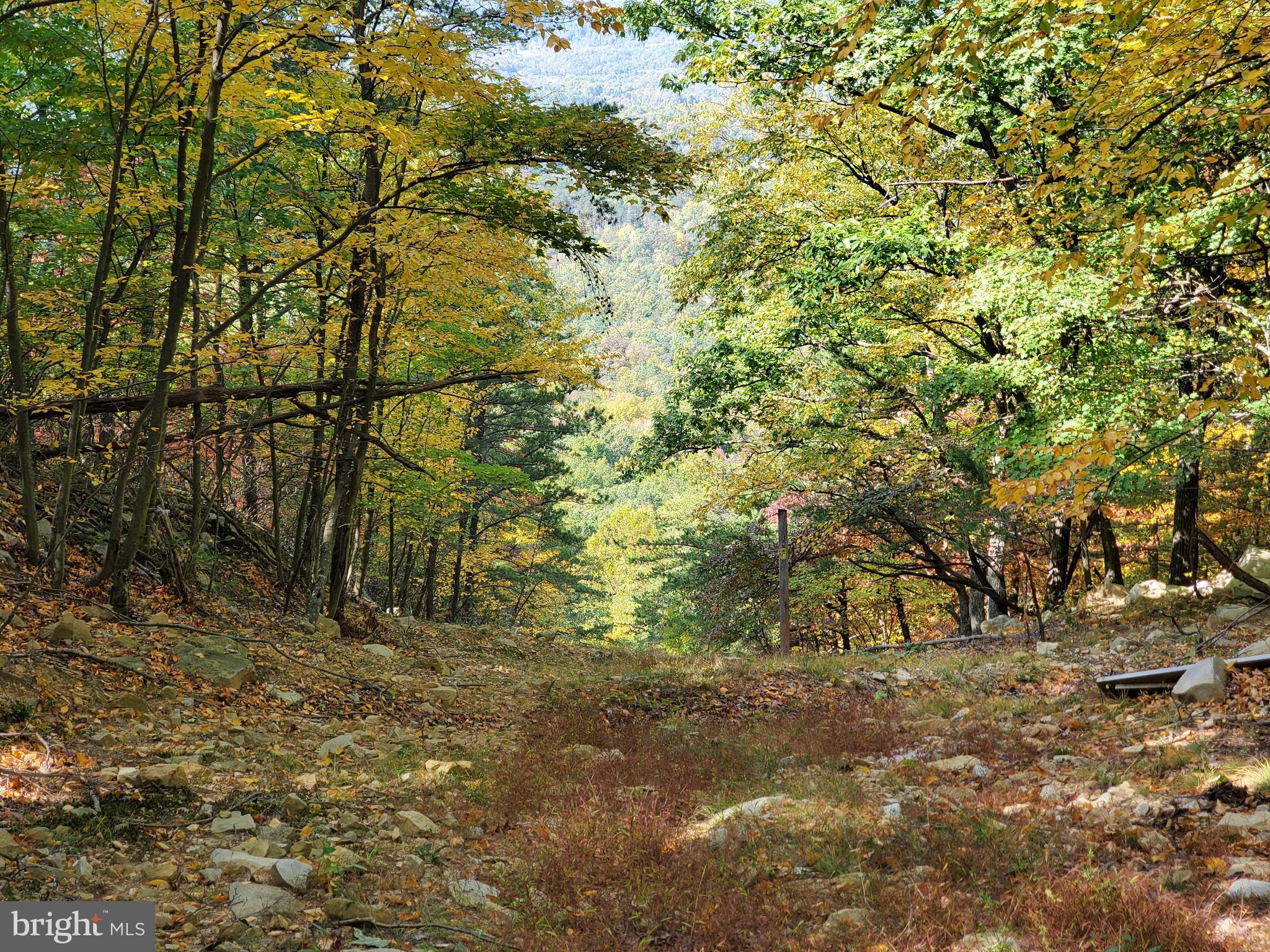 NONE AVAILABLE - Land