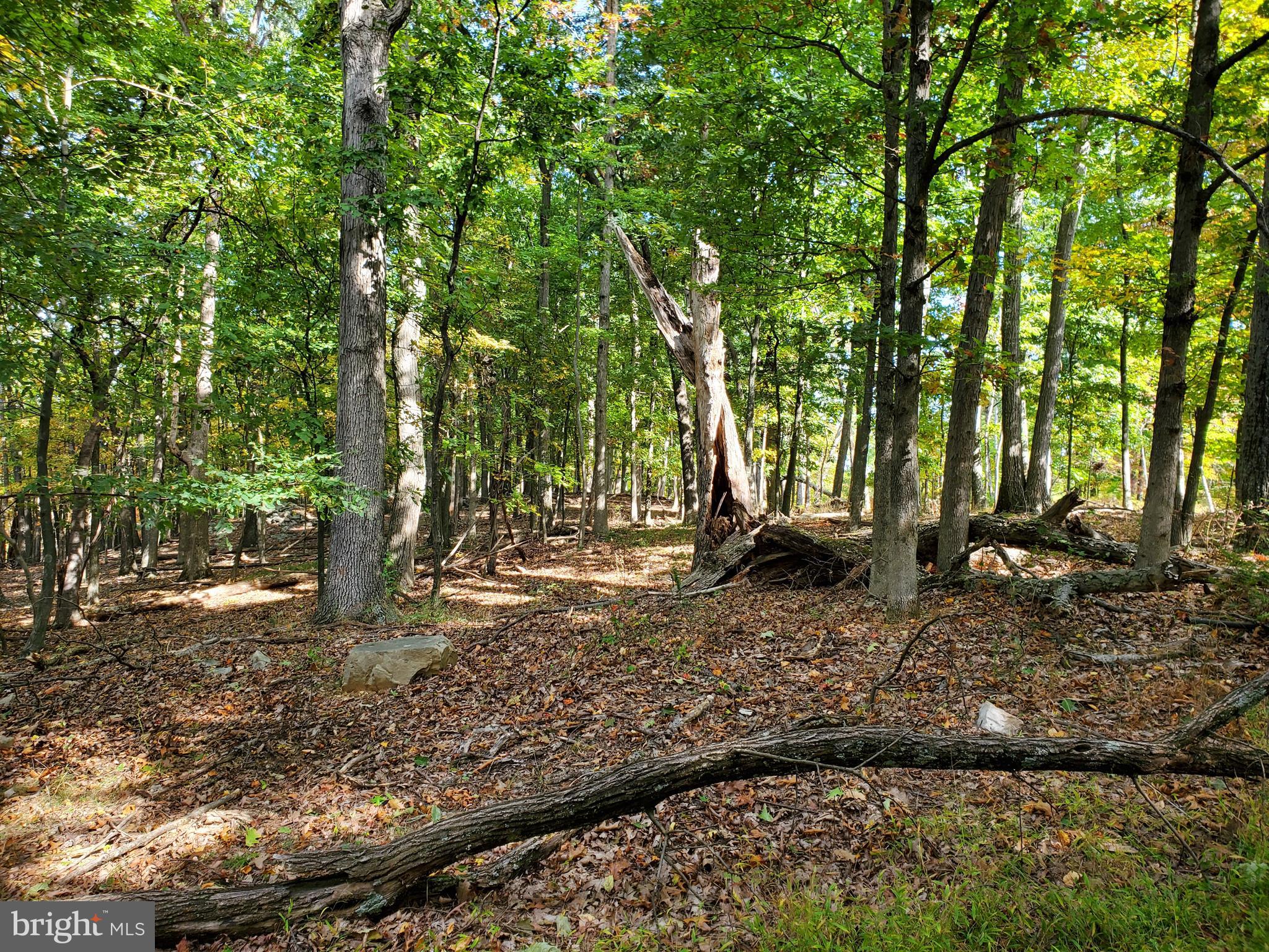 NONE AVAILABLE - Land