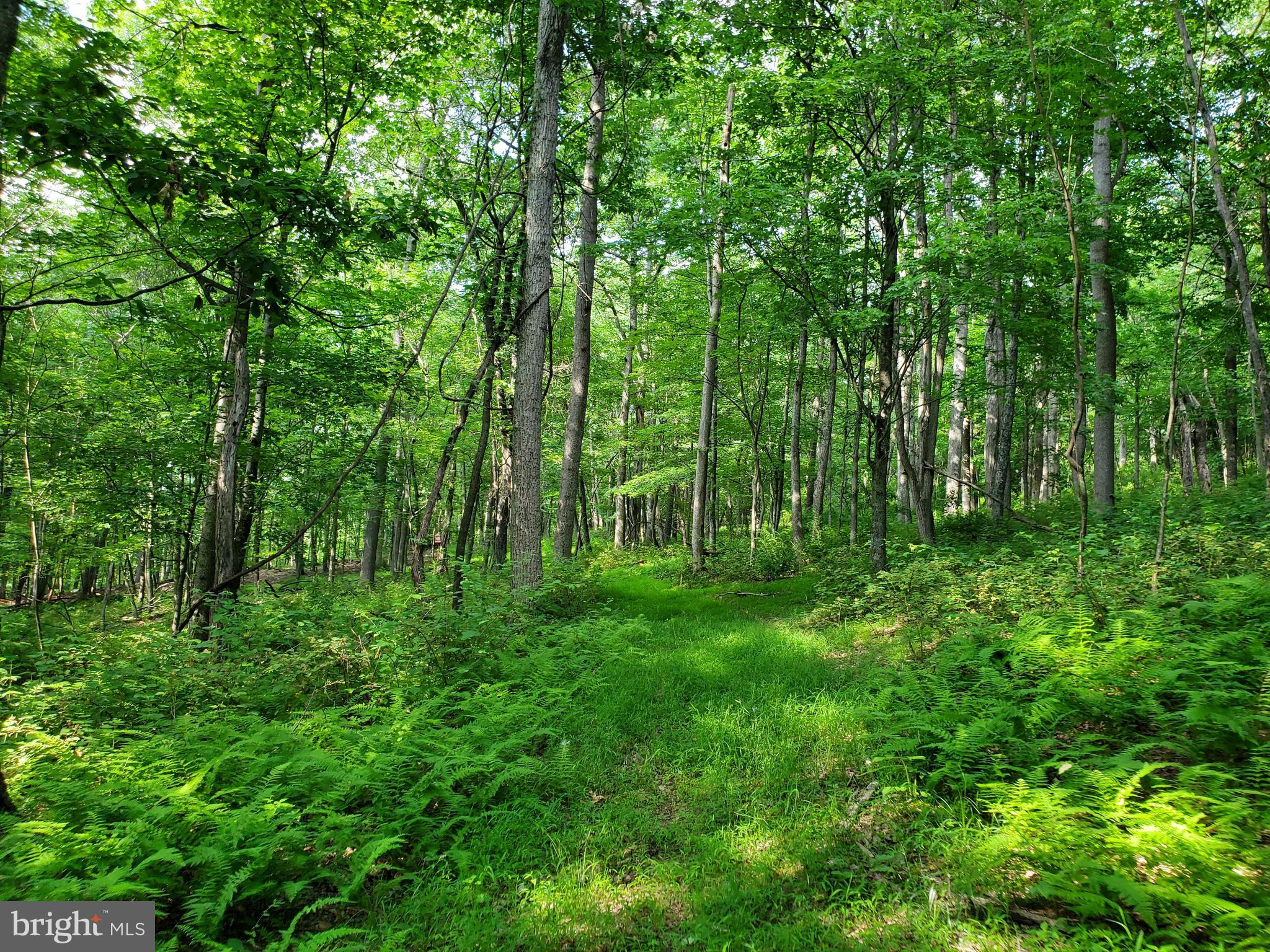 NONE AVAILABLE - Land