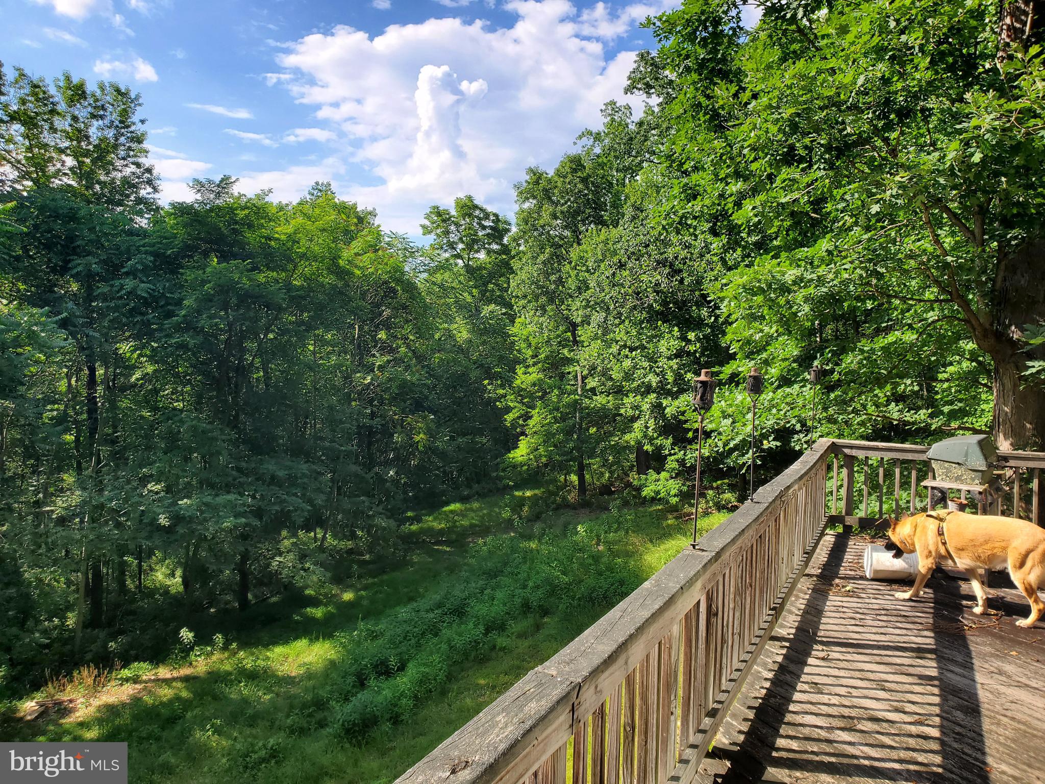 NONE AVAILABLE - Land