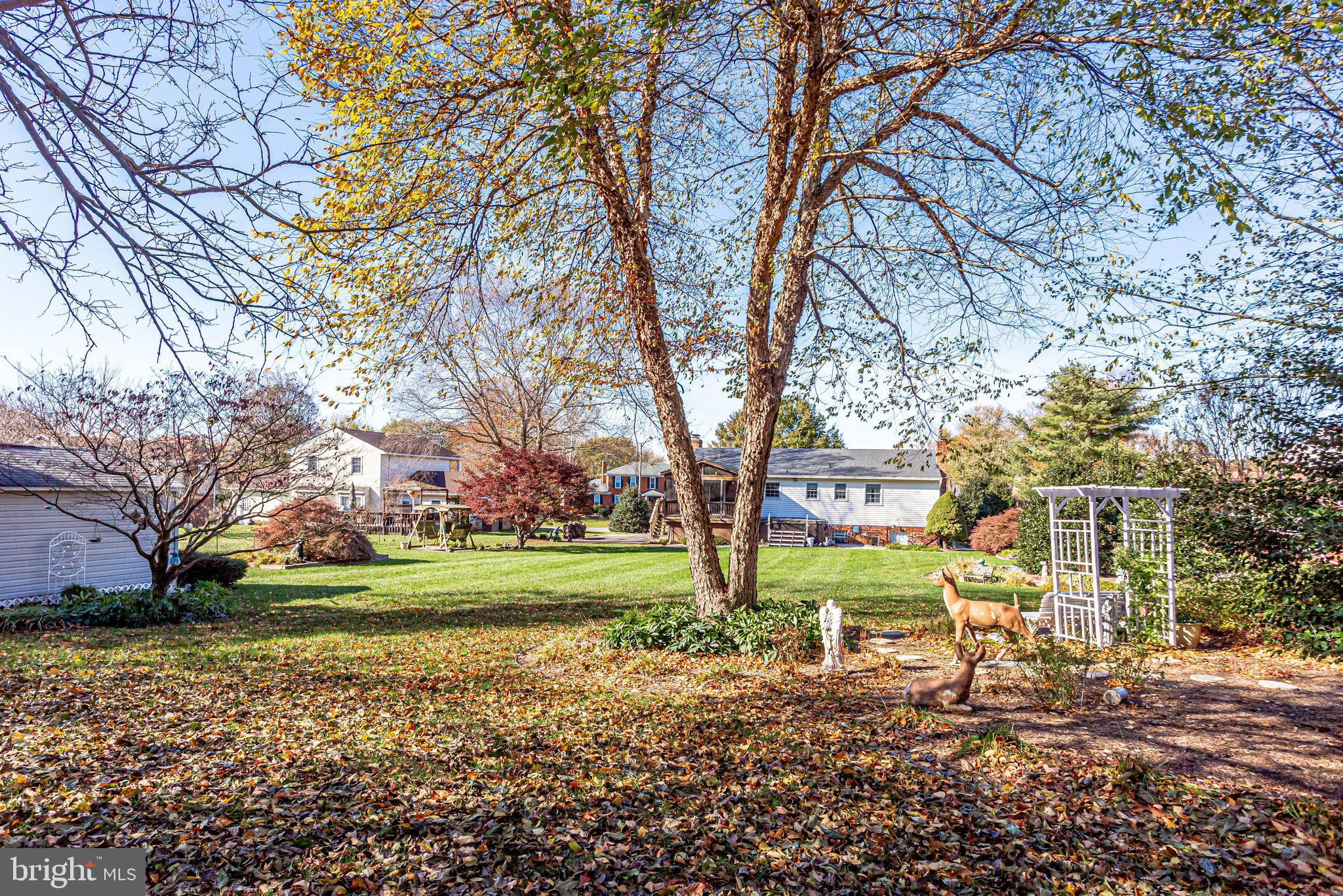 MOUNTAIN VIEW - Residential