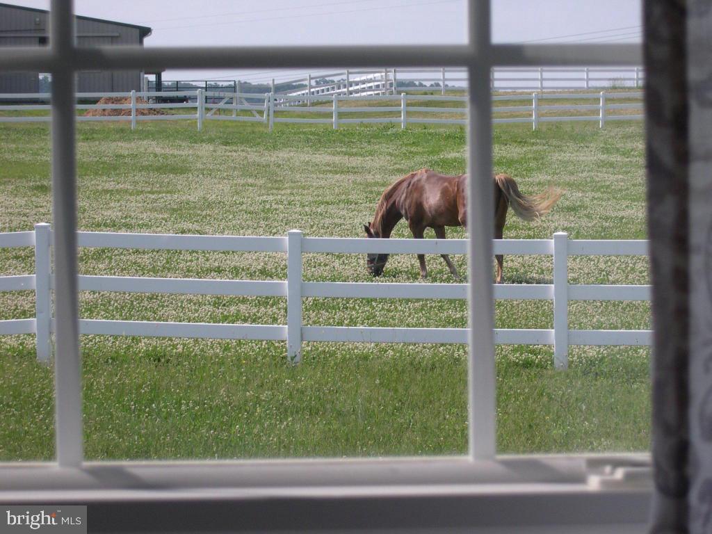 MAYTOWN VILLAGE SQUARE - Residential
