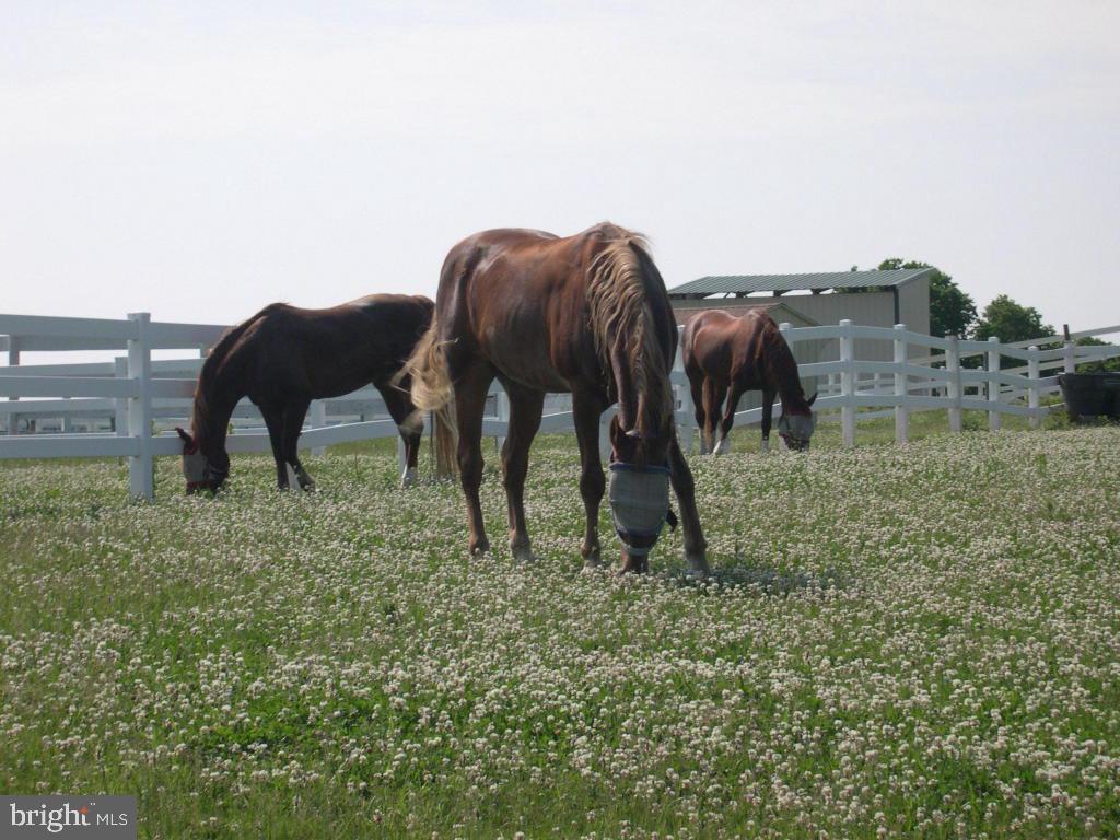 MAYTOWN VILLAGE SQUARE - Residential