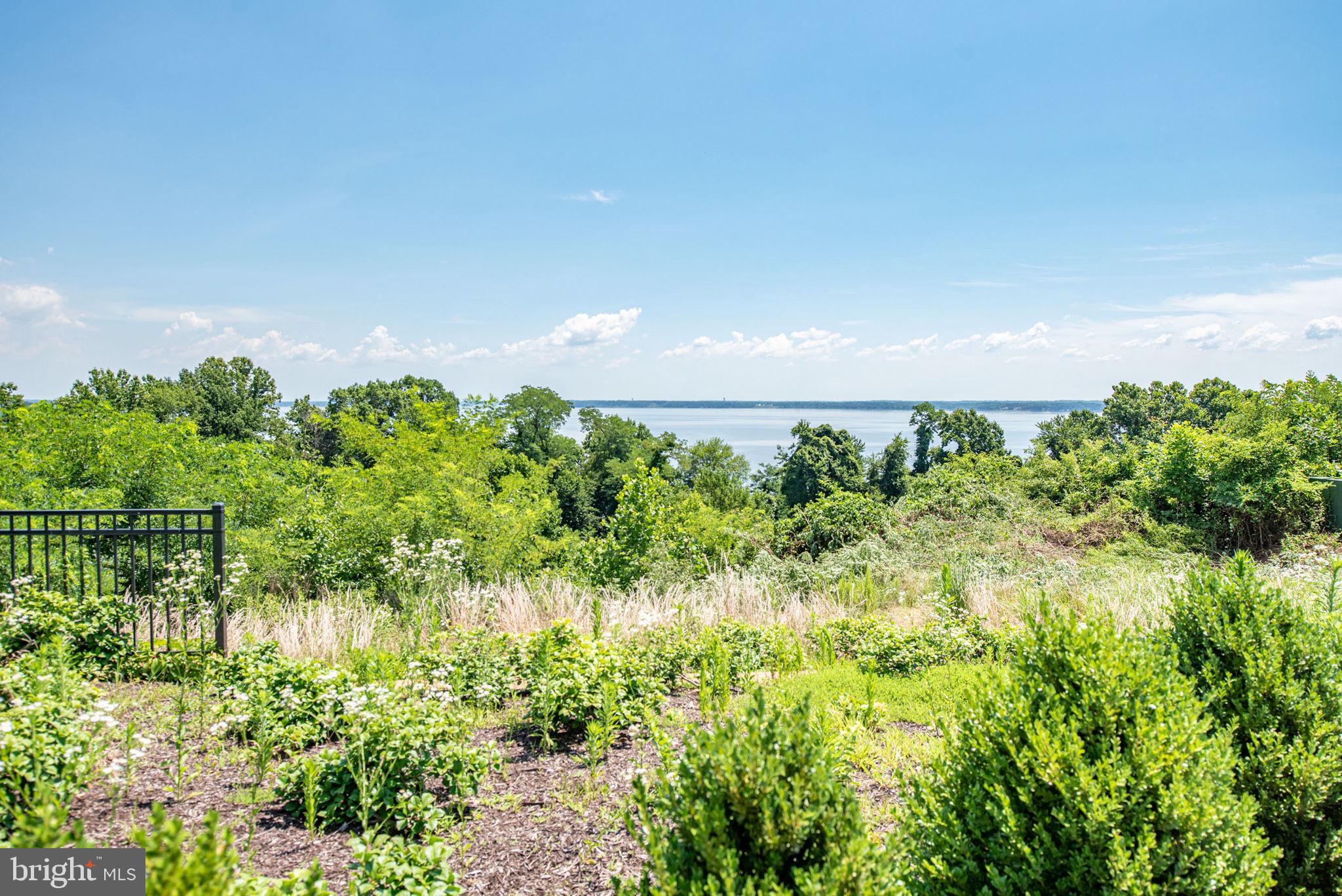 POTOMAC SHORES - Residential Lease