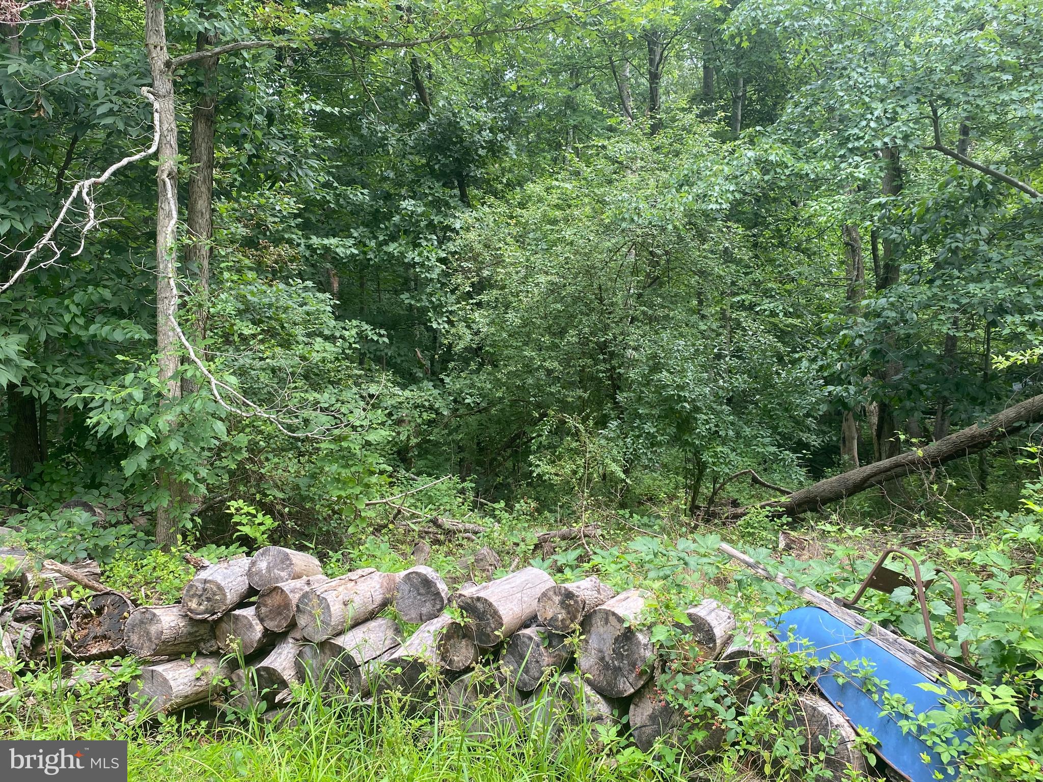 LINCOLN PARK - Residential