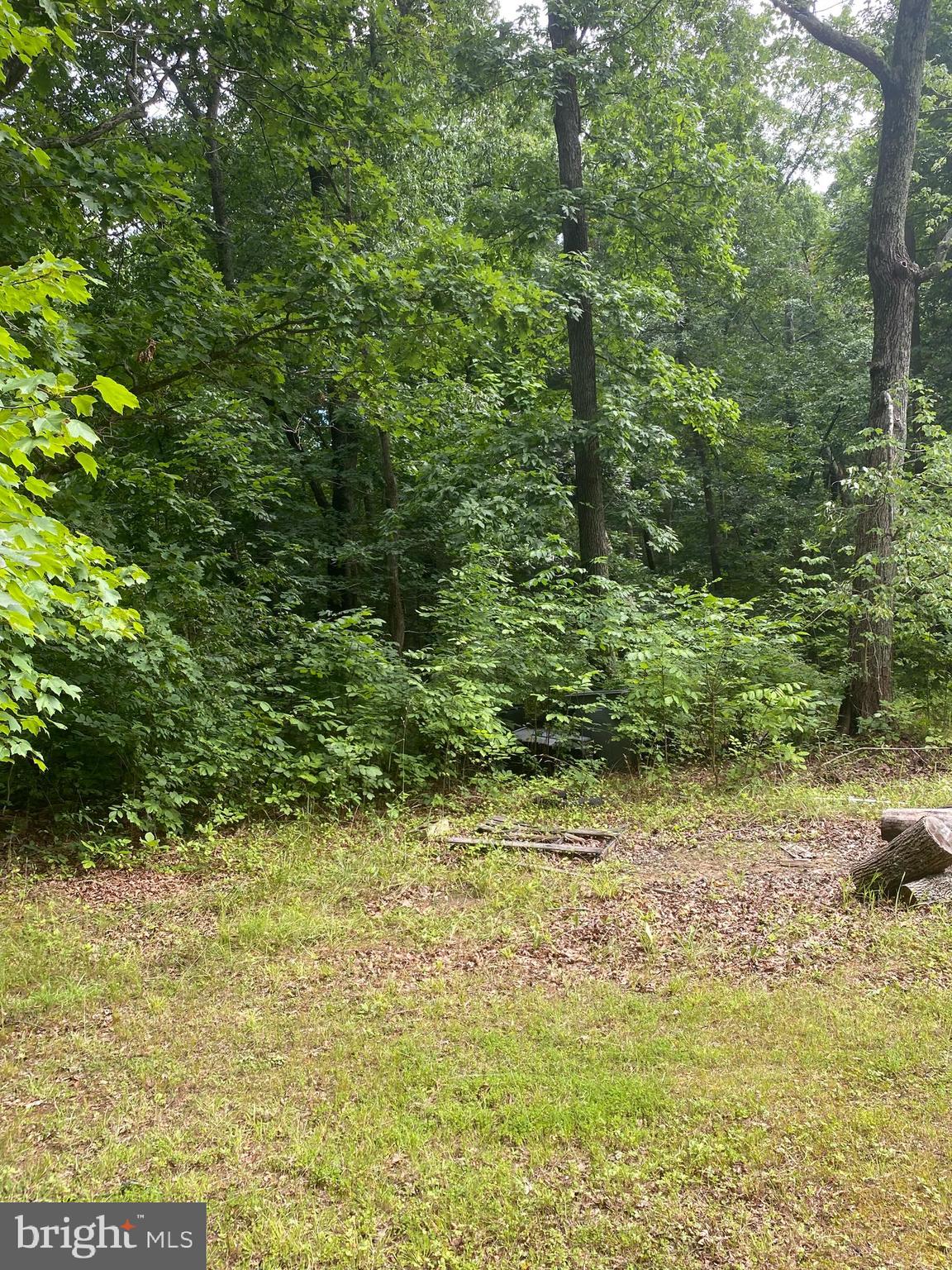 LINCOLN PARK - Residential