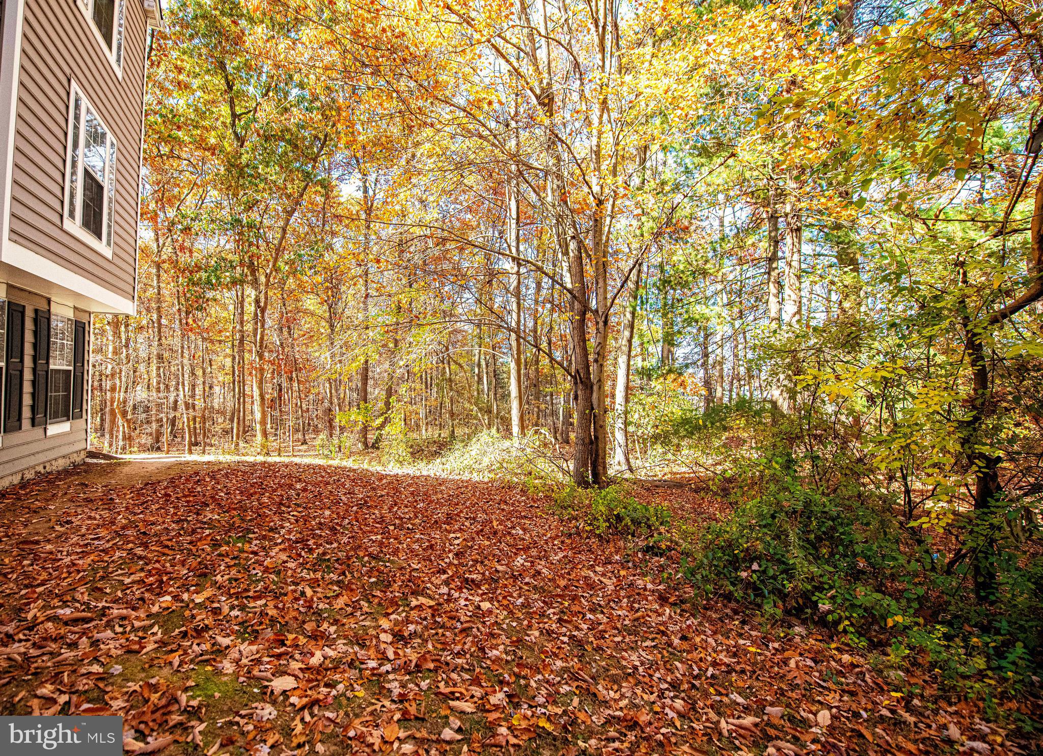 WOODBRIDGE CENTER - Residential