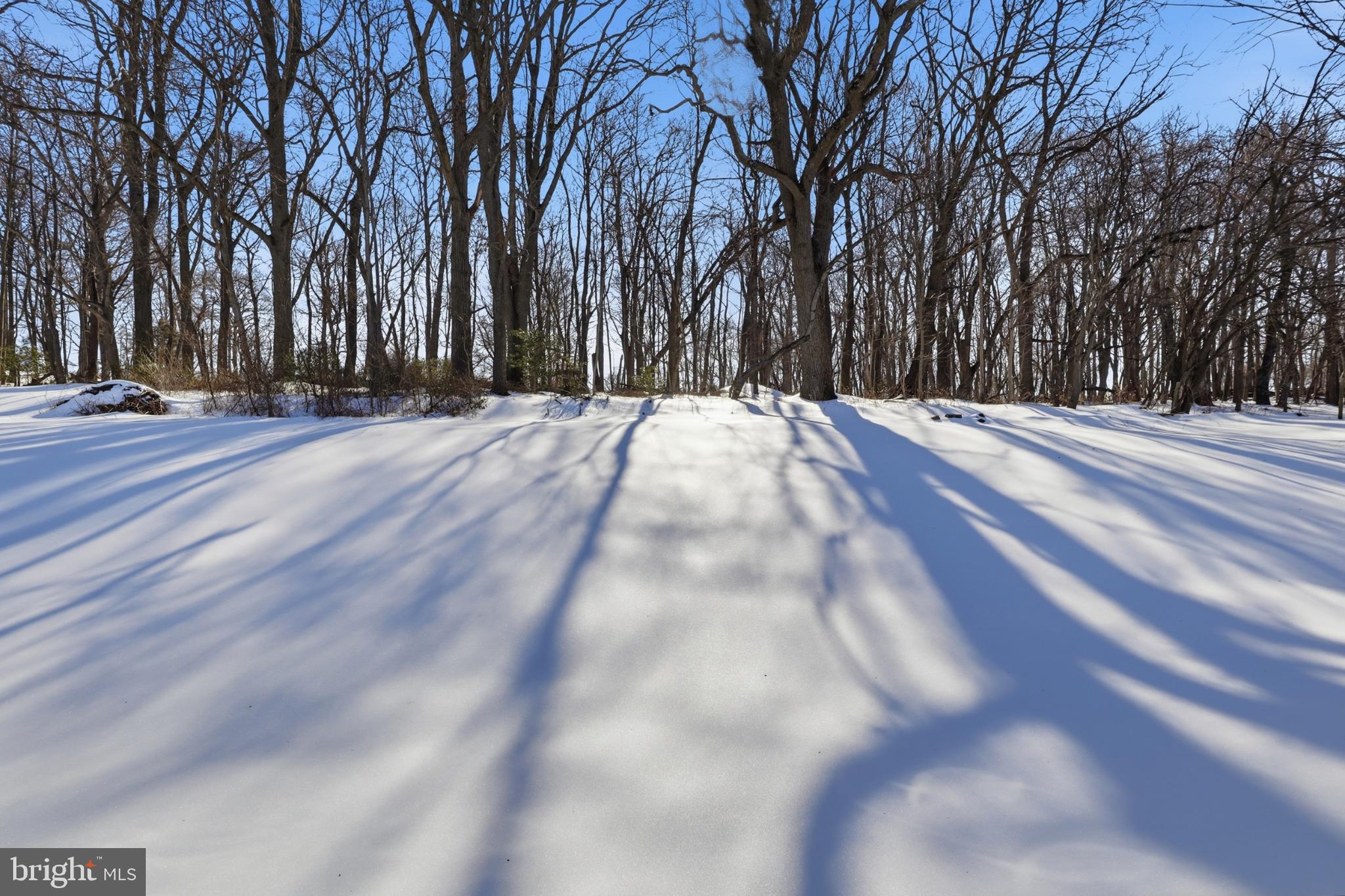 HISTORIC DELTA BOROUGH - Residential