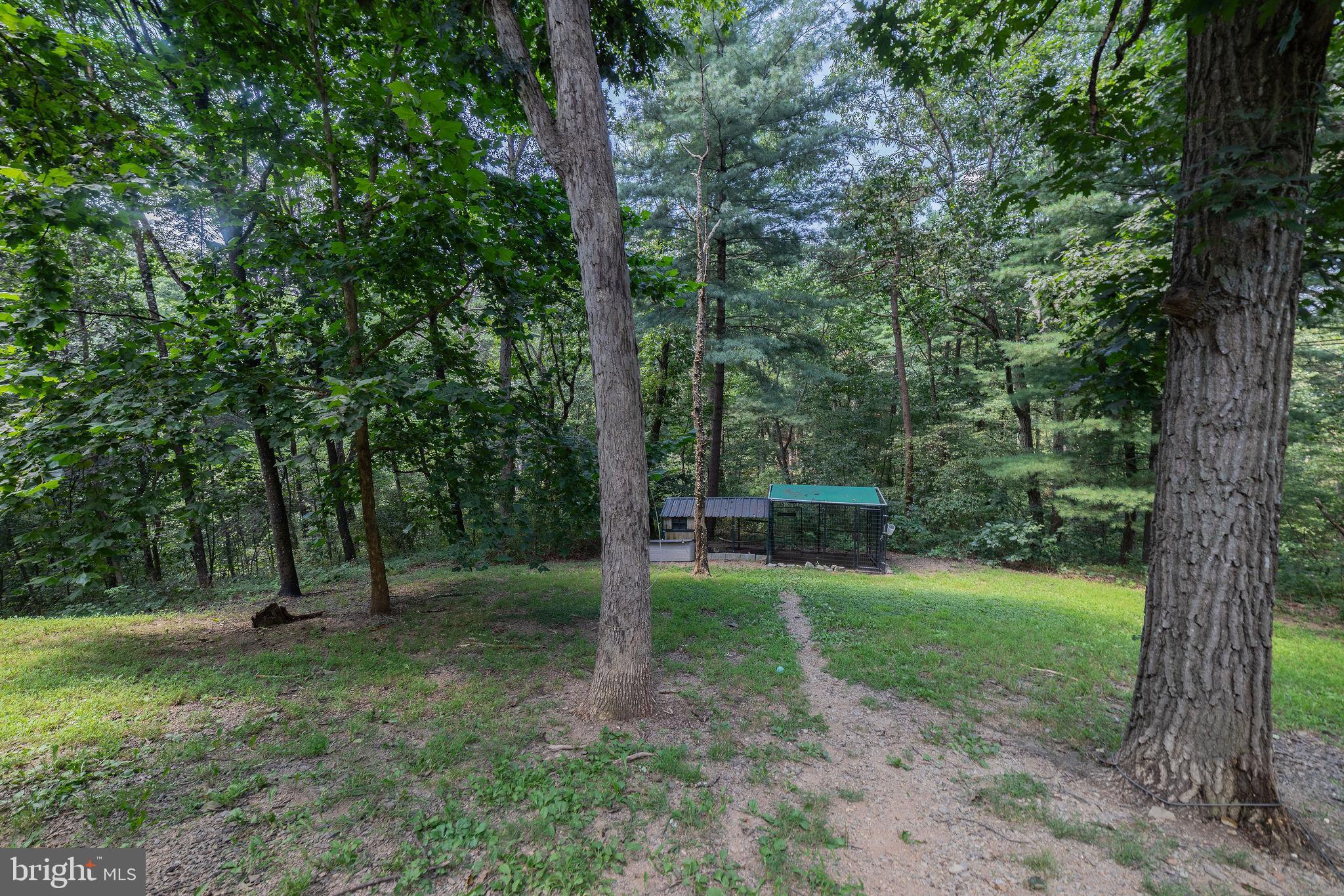 GLENWOOD FOREST - Residential