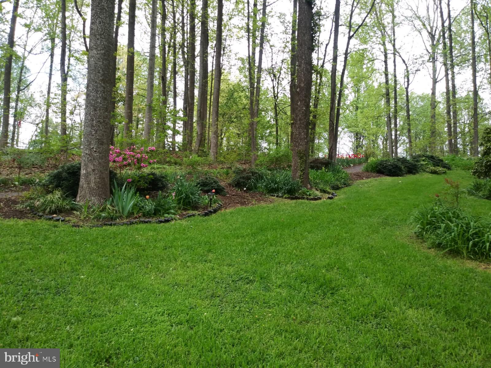 GLENMORE HEIGHTS - Residential