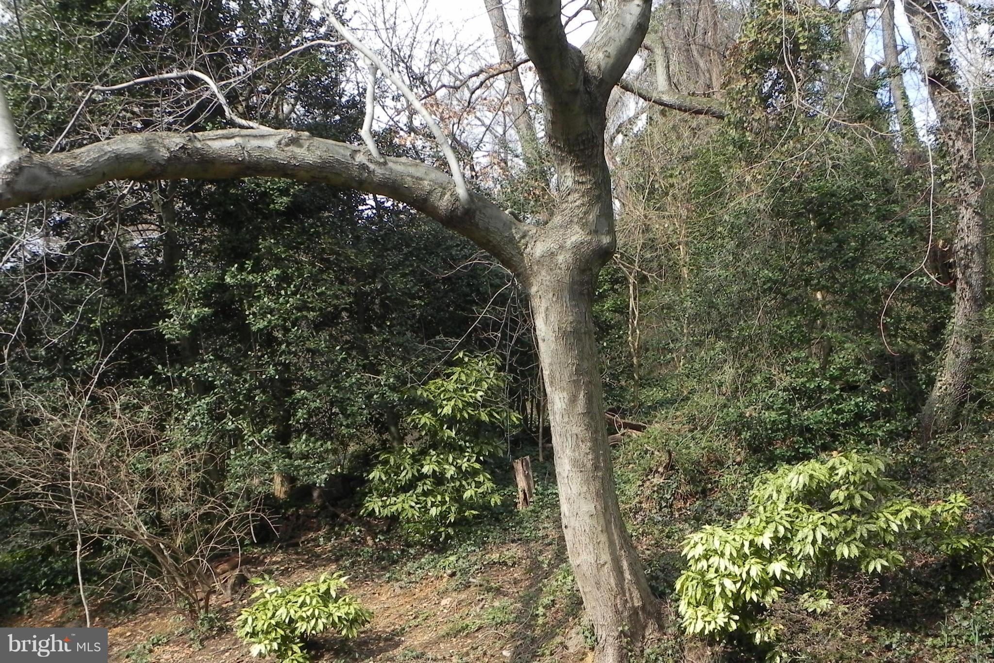 OAK CLUSTER - Residential Lease